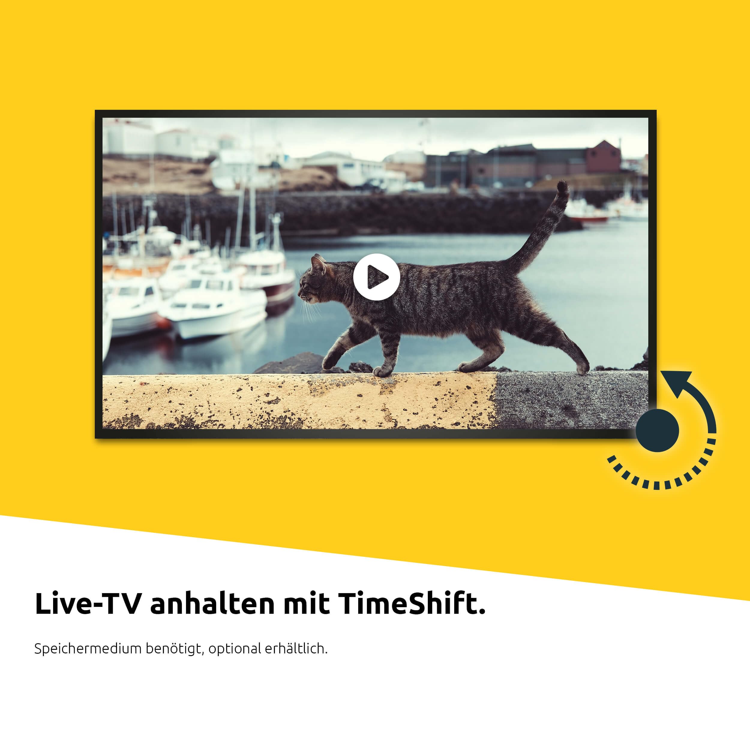 TechniSat DIGIPLUS UHD S2-4K Sat Receiver mit alphanumerischem Display und Twin Tuner (DVB-S/DVB-S2, HEVC, H.265, PVR Aufnahmefunktion, WLAN, LAN, CI+, USB, OLED) schwarz
