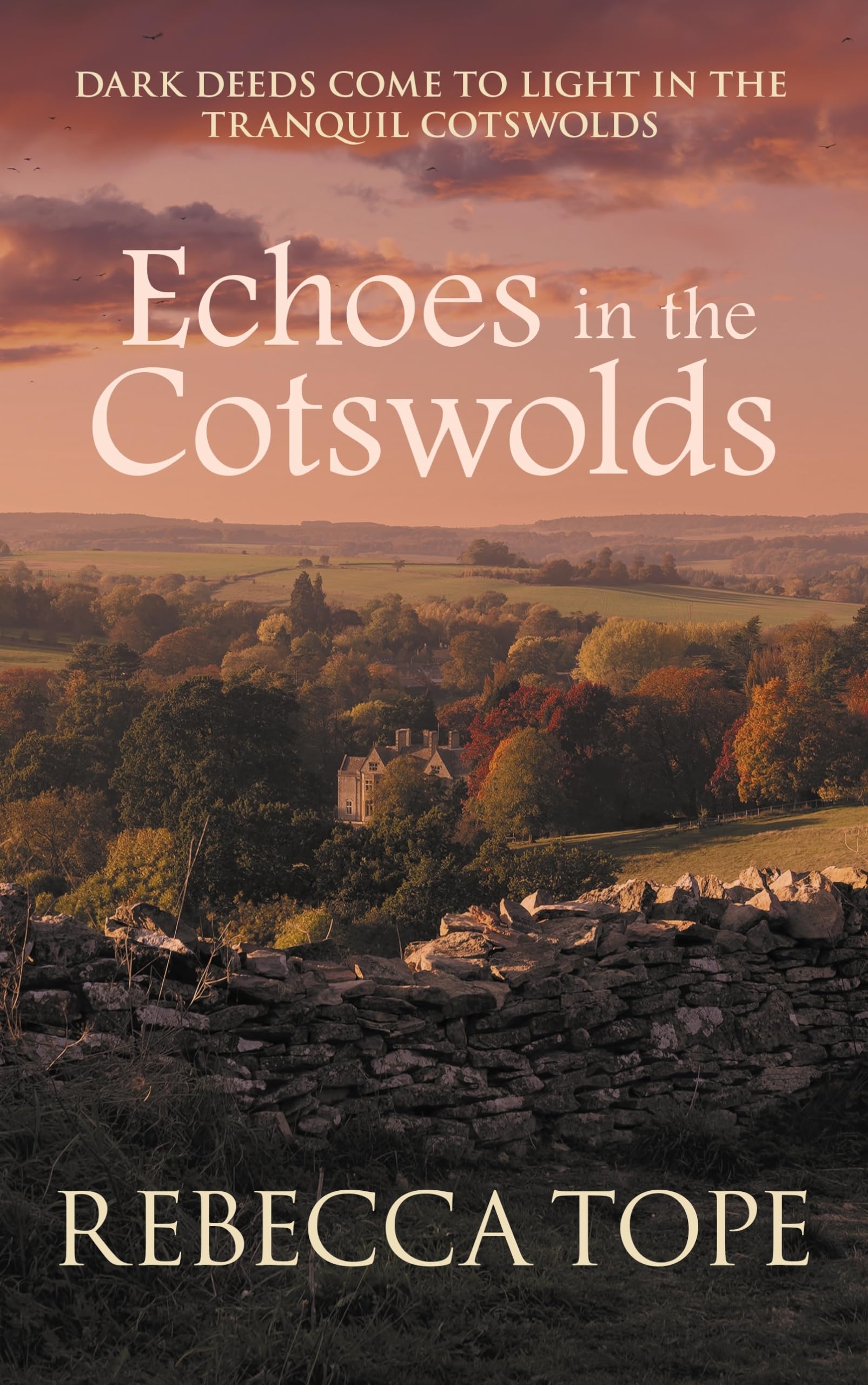 Echoes in the Cotswolds: The engrossing cosy crime series (Cotswold Mysteries 19)