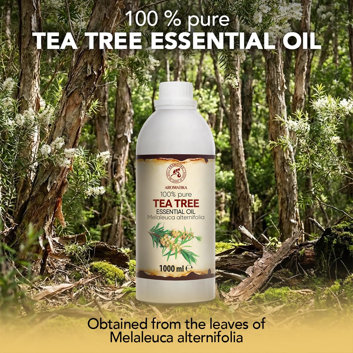 Olejek Eteryczny z Drzewa Herbacianego 1000 ml - Melaleuca Alternifolia - Olejek Aromatyczny do Dyfuzora - Aromaterapia - Świece Zapachowe - Mydła - Odświeżanie Powietrza