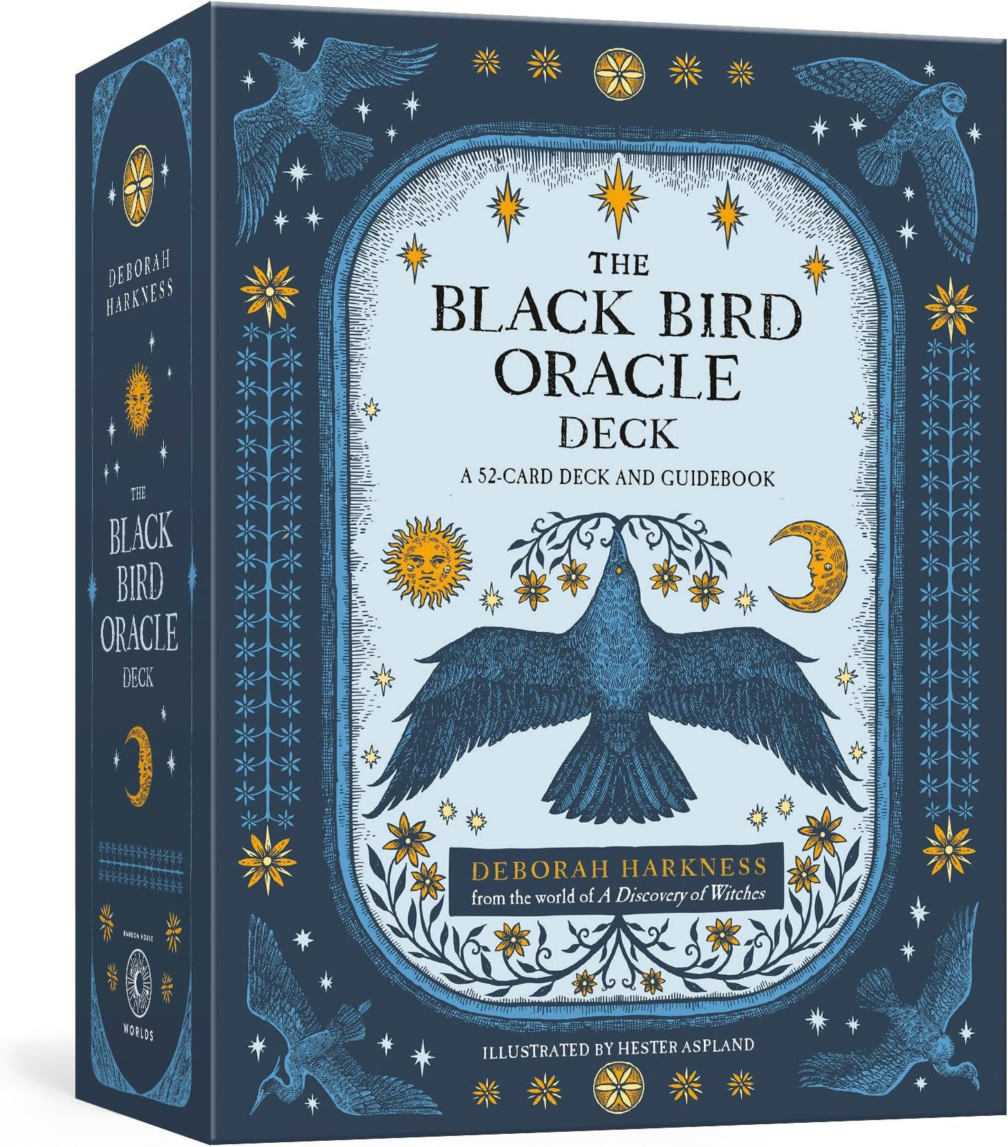 The Black Bird Oracle Deck: A 52-Card Deck and Guidebook