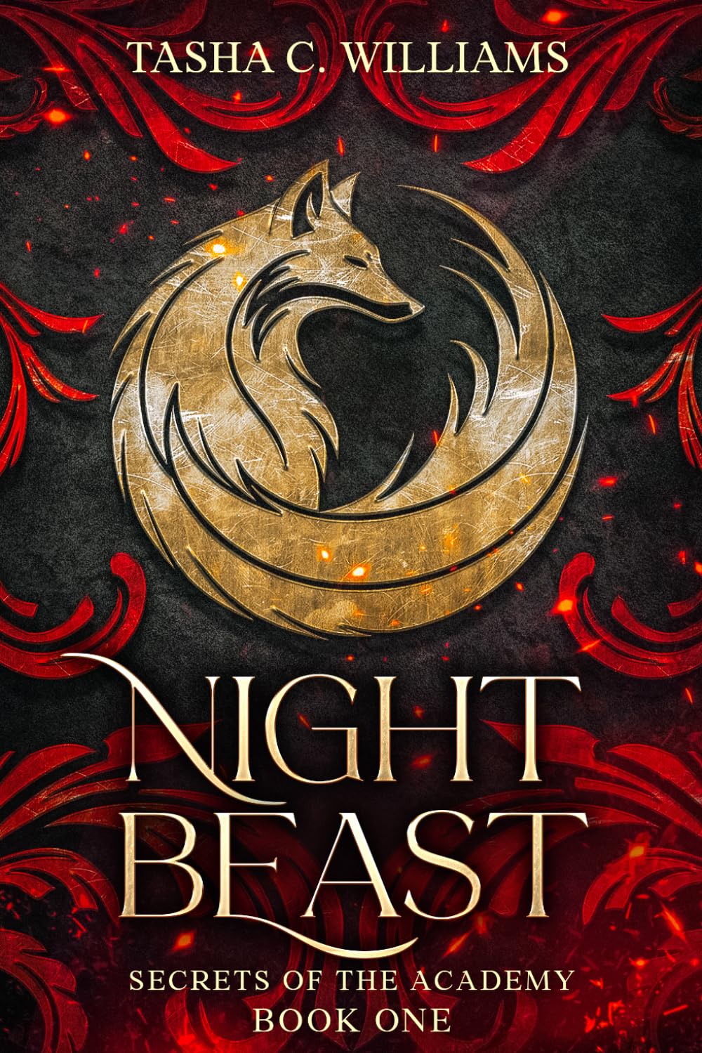 Night Beast: A YA Paranormal Academy Series (Secrets of the Academy)