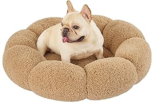 Lesure Calming Medium Dog Bed: The Ultimate Sanctuary for Your Furry Bestie