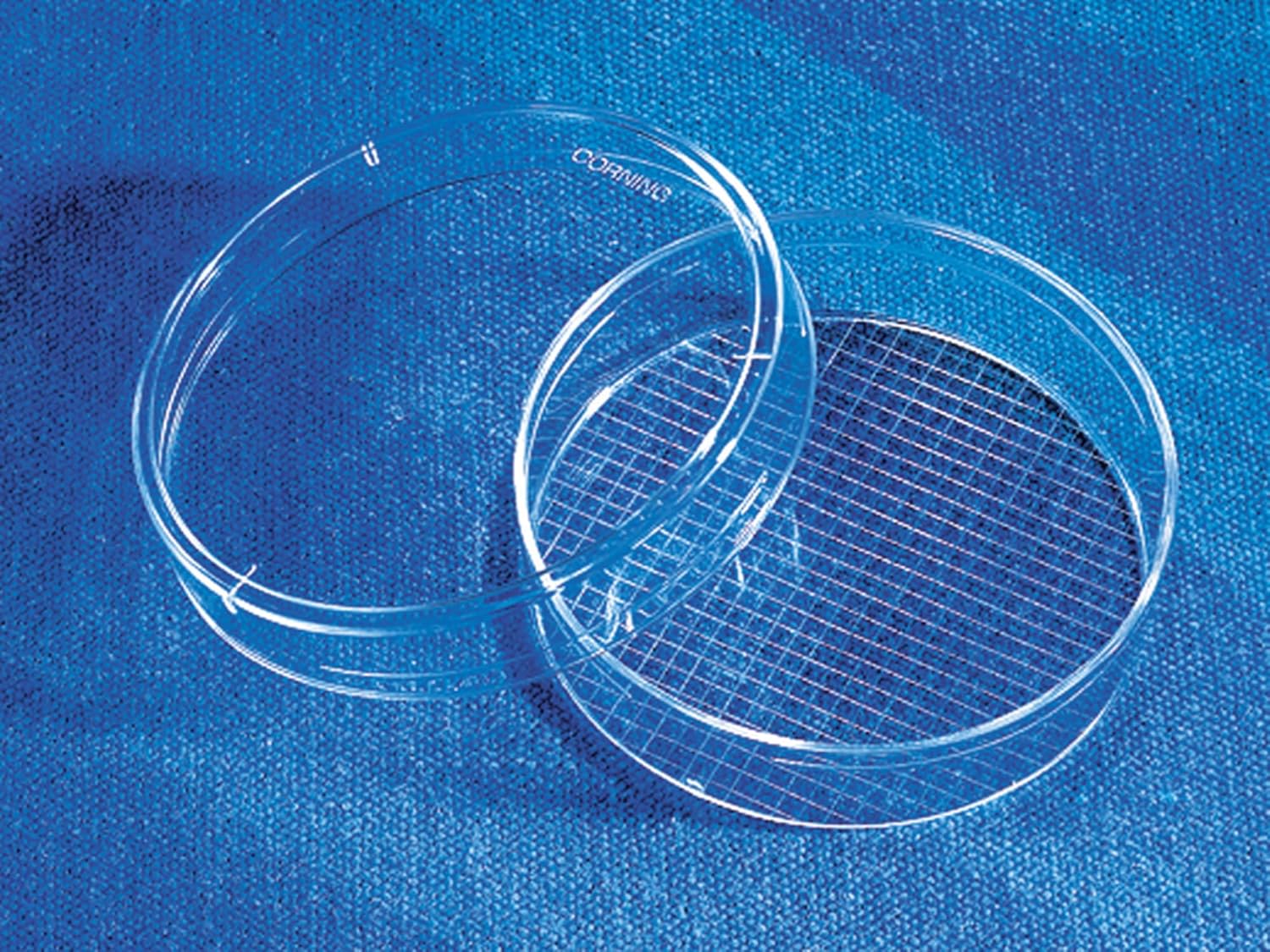 CORNING 430196 60 mm TC-Treated Culture Petri Dish with 2 mm Grid, Disposable, 51.4 mm Diameter x 15 mm Height