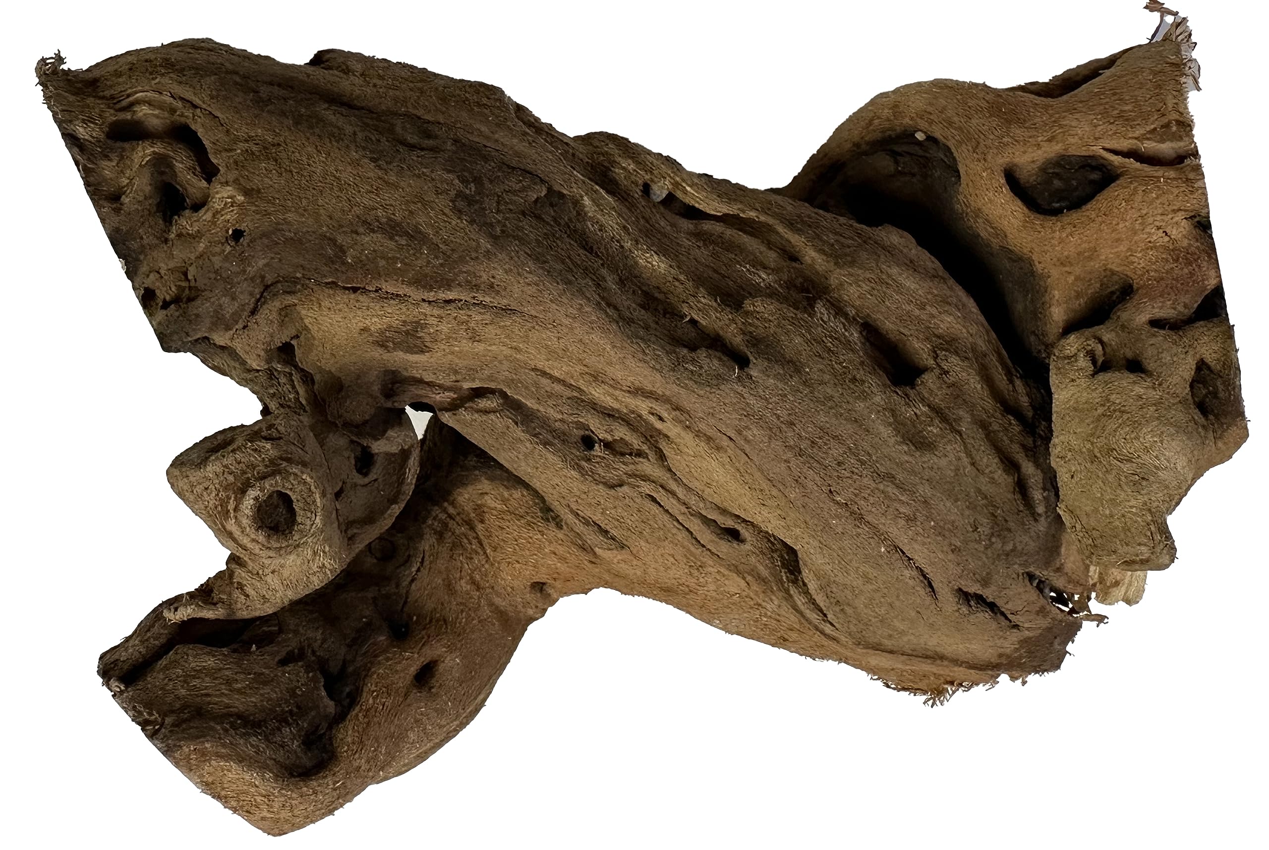 Premium Natural California Grapewood Vine Branch For Reptile Terrariums, Bird Aviaries & Home Decor (4-6 Inch)