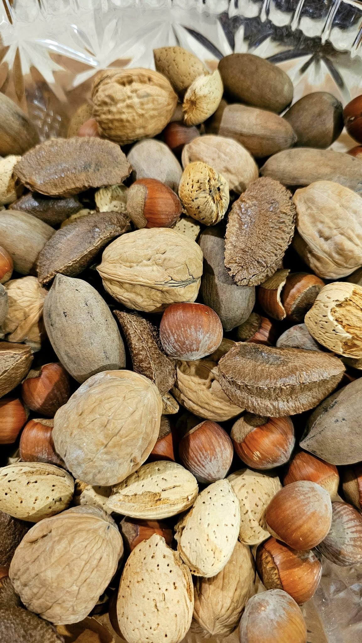California Fresh Raw In-shell Whole Mixed Nuts (2)