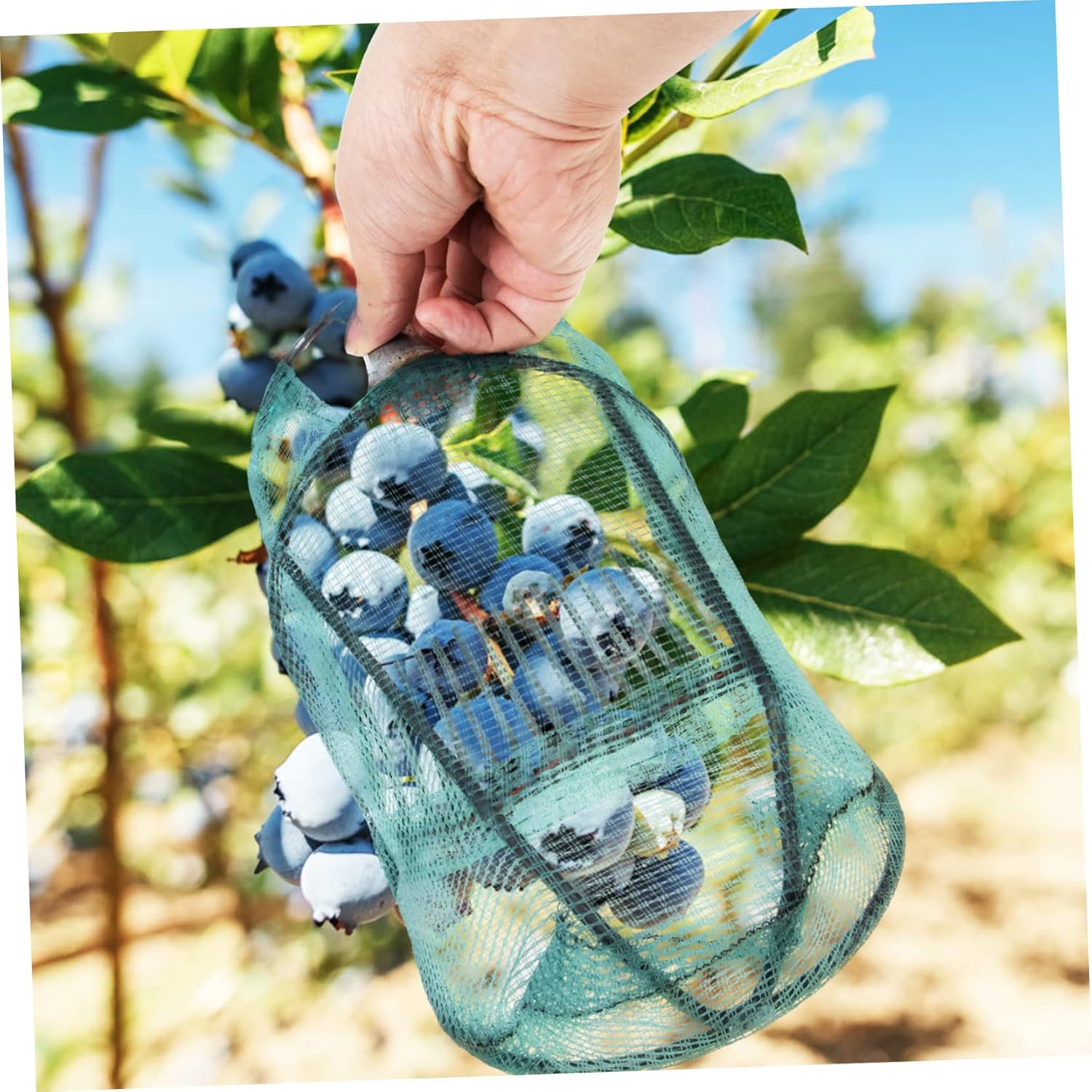 Blueberry Picker Tool Handle Ergonomic Berry Picking Device for Efficient Blueberry Harvesting Lightweight Fruit Picker Basket for Garden and Orchard Use