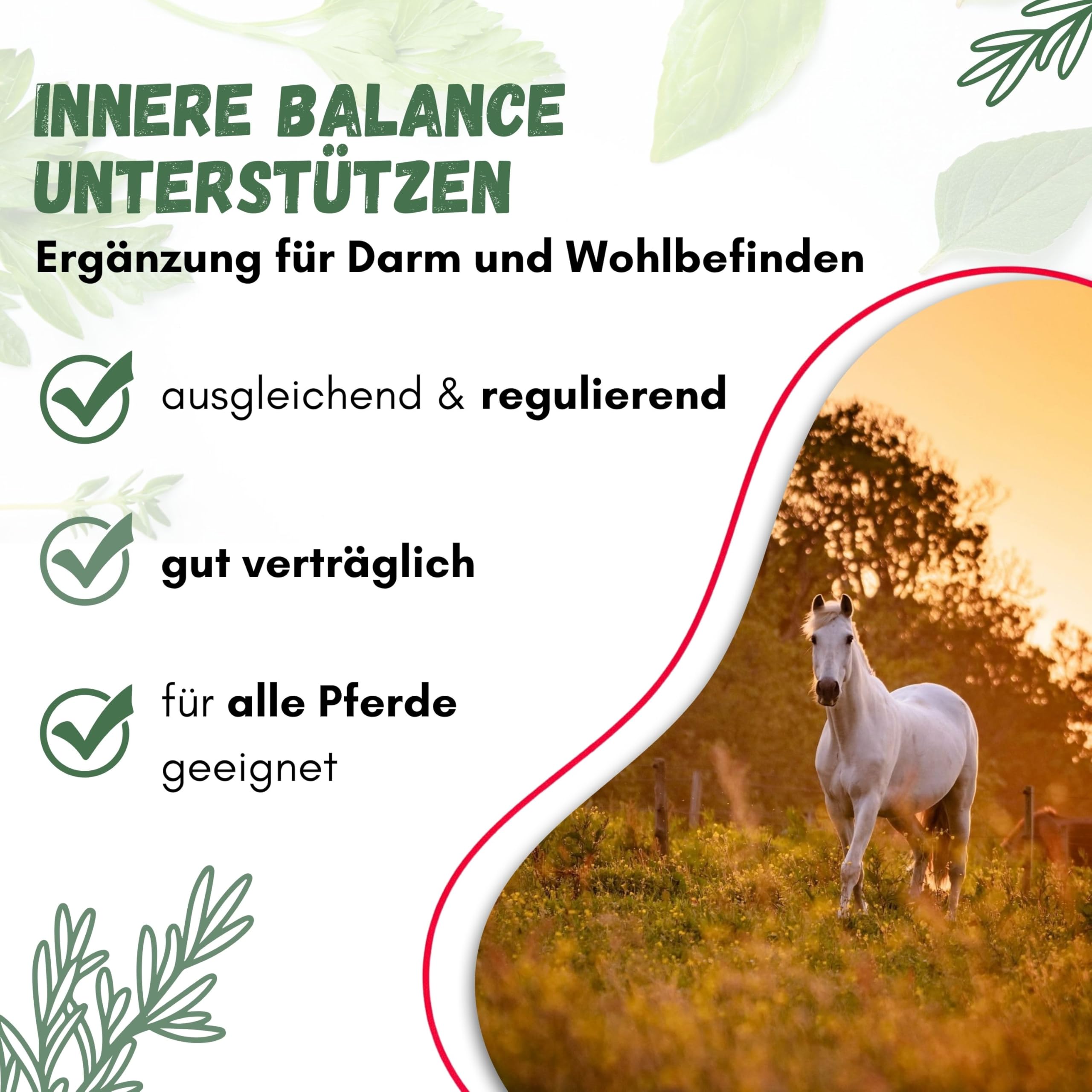 Mazerat-pro Horse 50 fermentierte Bio-Kräuter Ergänzungsfutter für Pferde