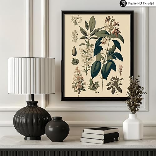 Miniatura 243 de Poster Master Póster vintage de orquídea, estampado de flores retro, arte de pared de plantas exóticas, arte botánico, regalo para hombres y