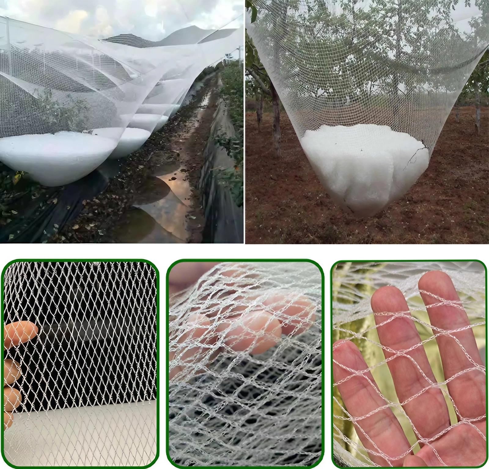 Rete Antigrandine Alta Portata Fili Rinforzati, Resistente allo Strappo Raggi UV Telo Antigrandine, Maglia da 5 mm Rete Anti Uccelli per Frutta e Verdura, Giardini, Piante, Anti-Uccelli(1 x 50m)