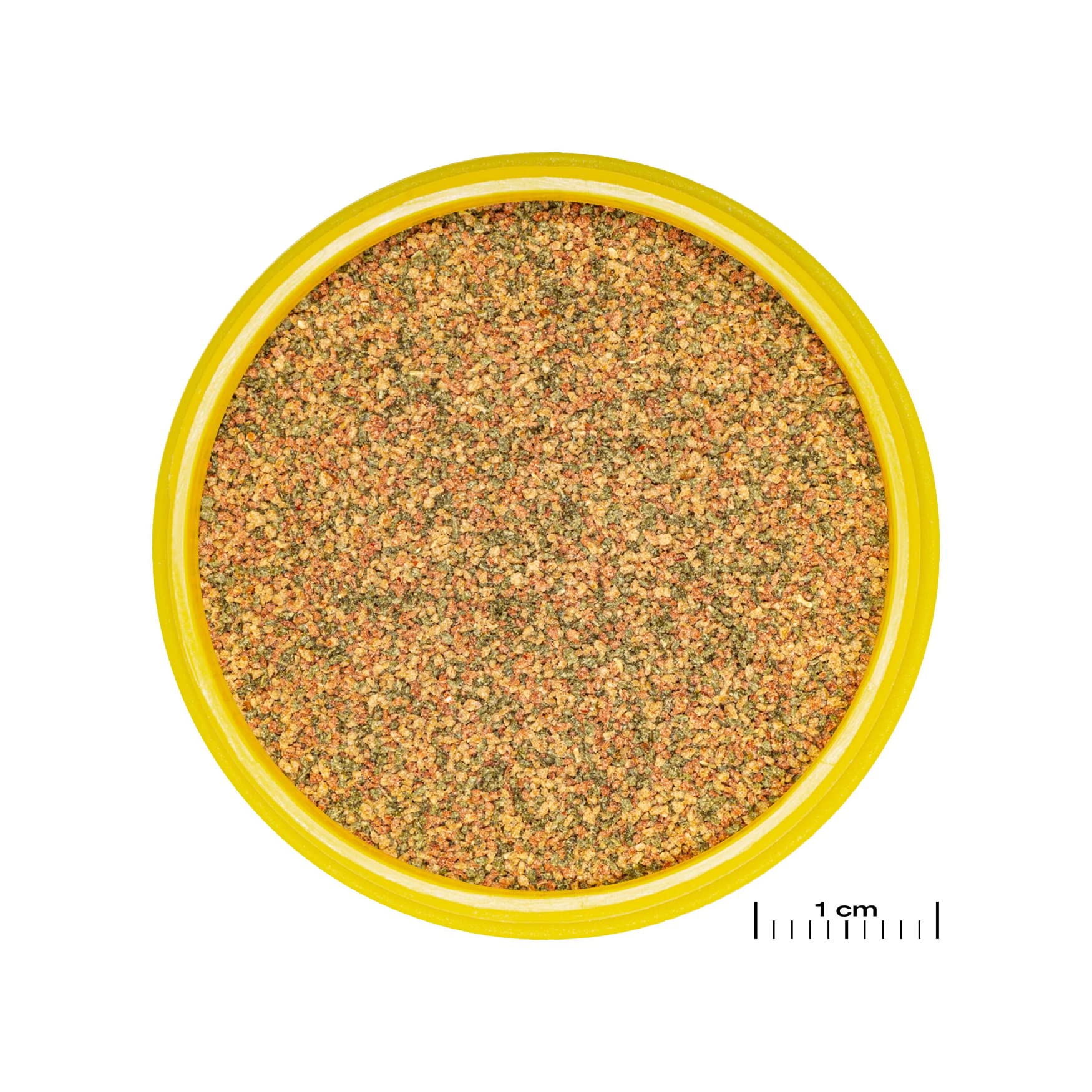 JBL PRONOVO BEL GRANO, Aliment de Base pour tous Poissons d'Aquarium de 1-3 cm, Granulés pour Poissons, Doseur à clic, taille XXS, 100 ml