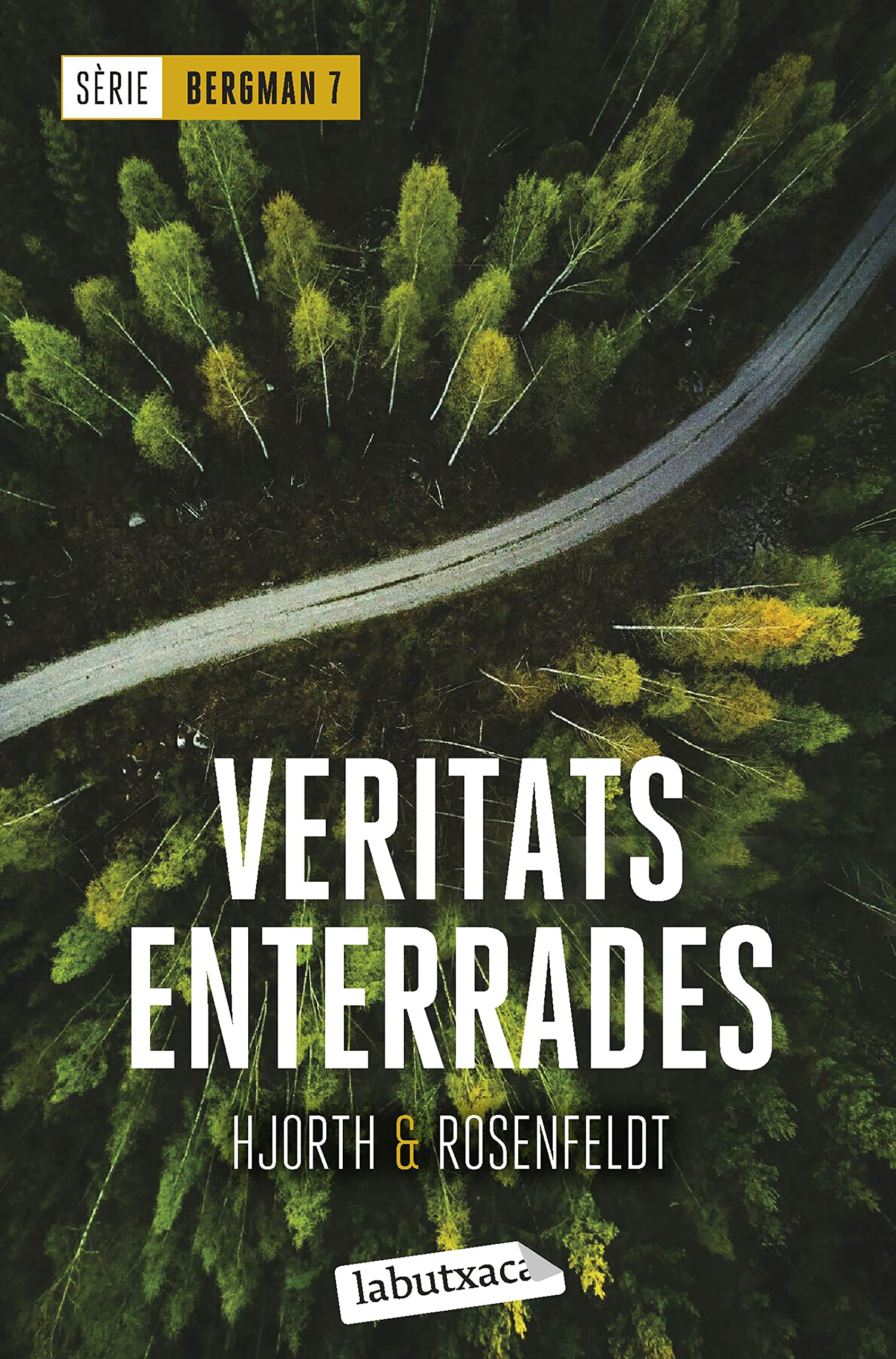 Veritats enterrades: Sèrie Bergman 7