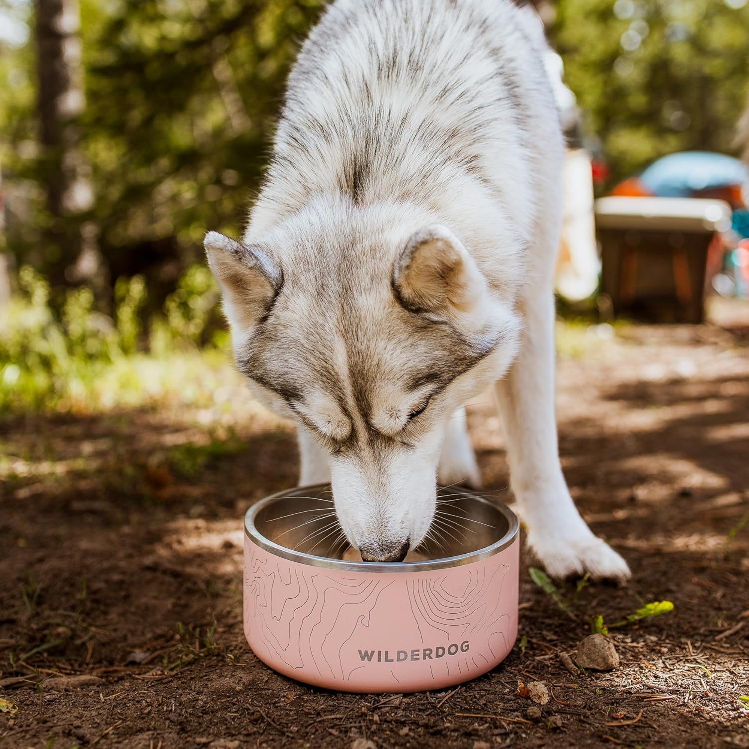 Widlerdog Stainless Steel Dog Bowl with Extra Durable Kitchen-Grade BPA-Free Stainless Steel with Non-Slip Rubber Ringed Bottom (Pacific Blue, 32 oz)