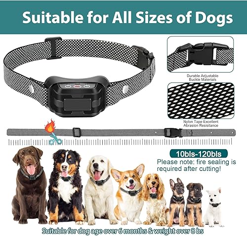 Miniatura 5 de Collar de corteza de citronela para perros, sin control remoto Collar de entrenamiento para perros en aerosol, collares de ladridos de citronela