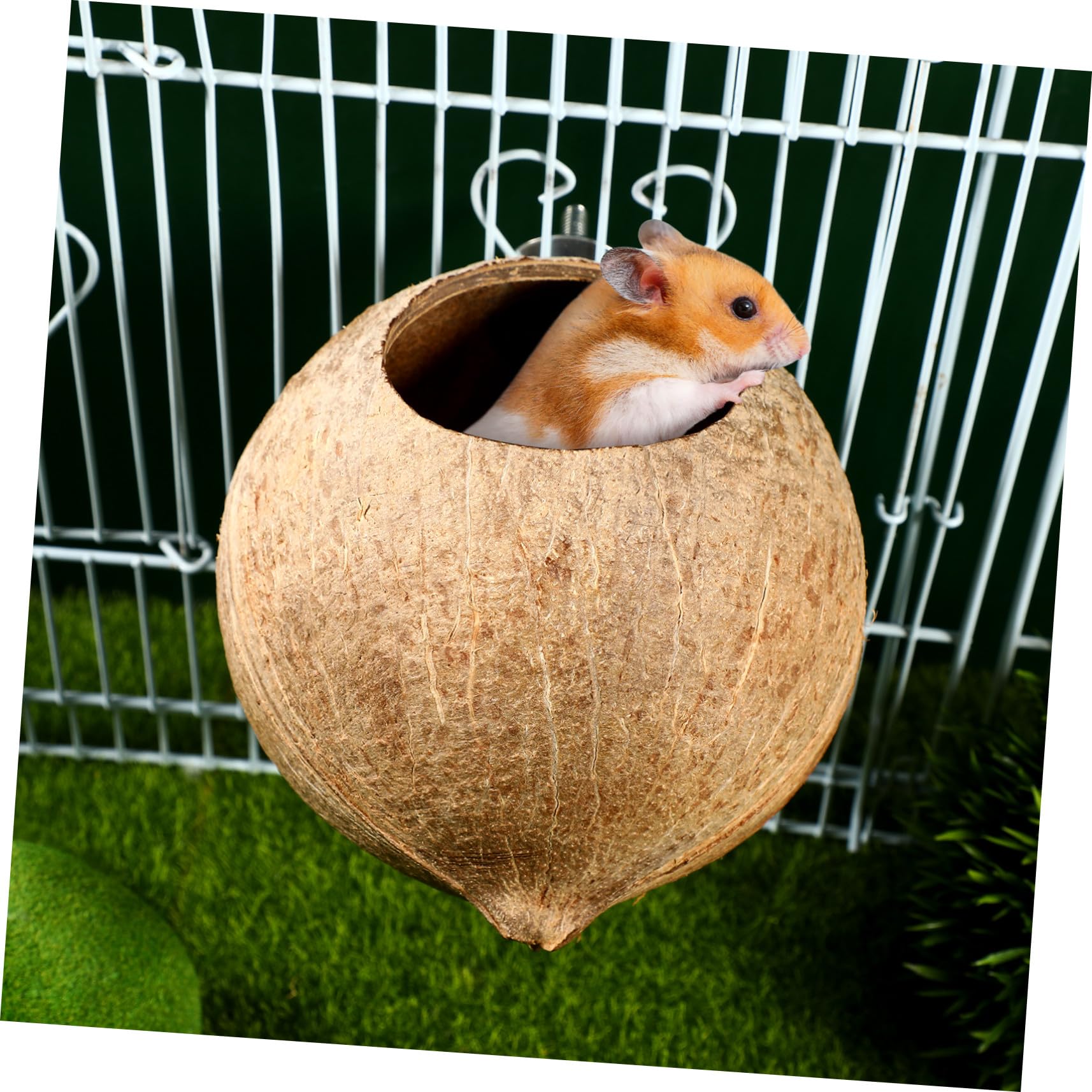 balacoo Vogelhaus aus Kokosnussschalen, natürliche Kokosnuss-Schale, Vogelkäfig für Wellensittiche, Papageien, Haustiere