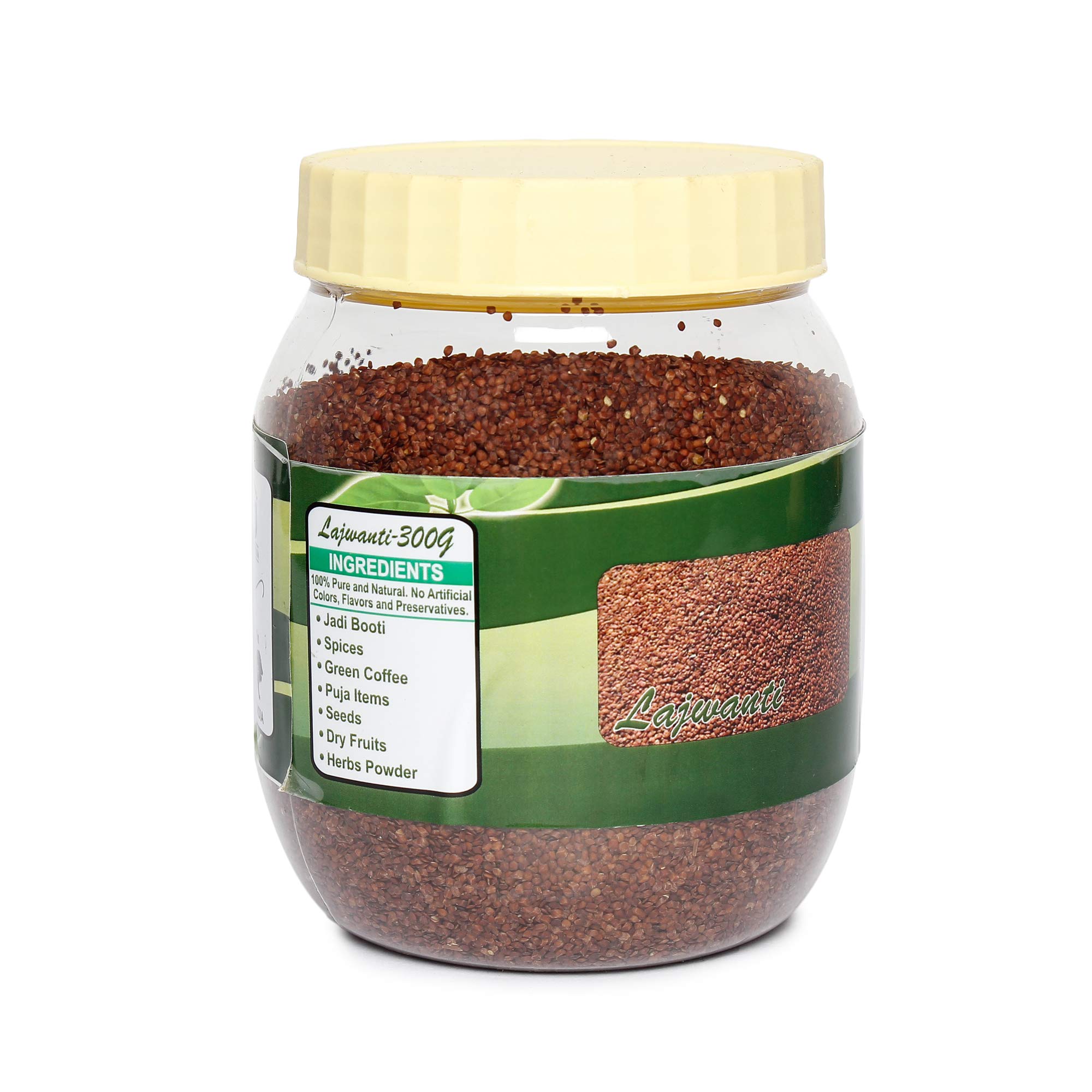 TRH Best Natural Lajwanti Seeds Sensitive Plant Seed| Chuimui |Mimosa Pudica | Lajjalu (600gm) 1