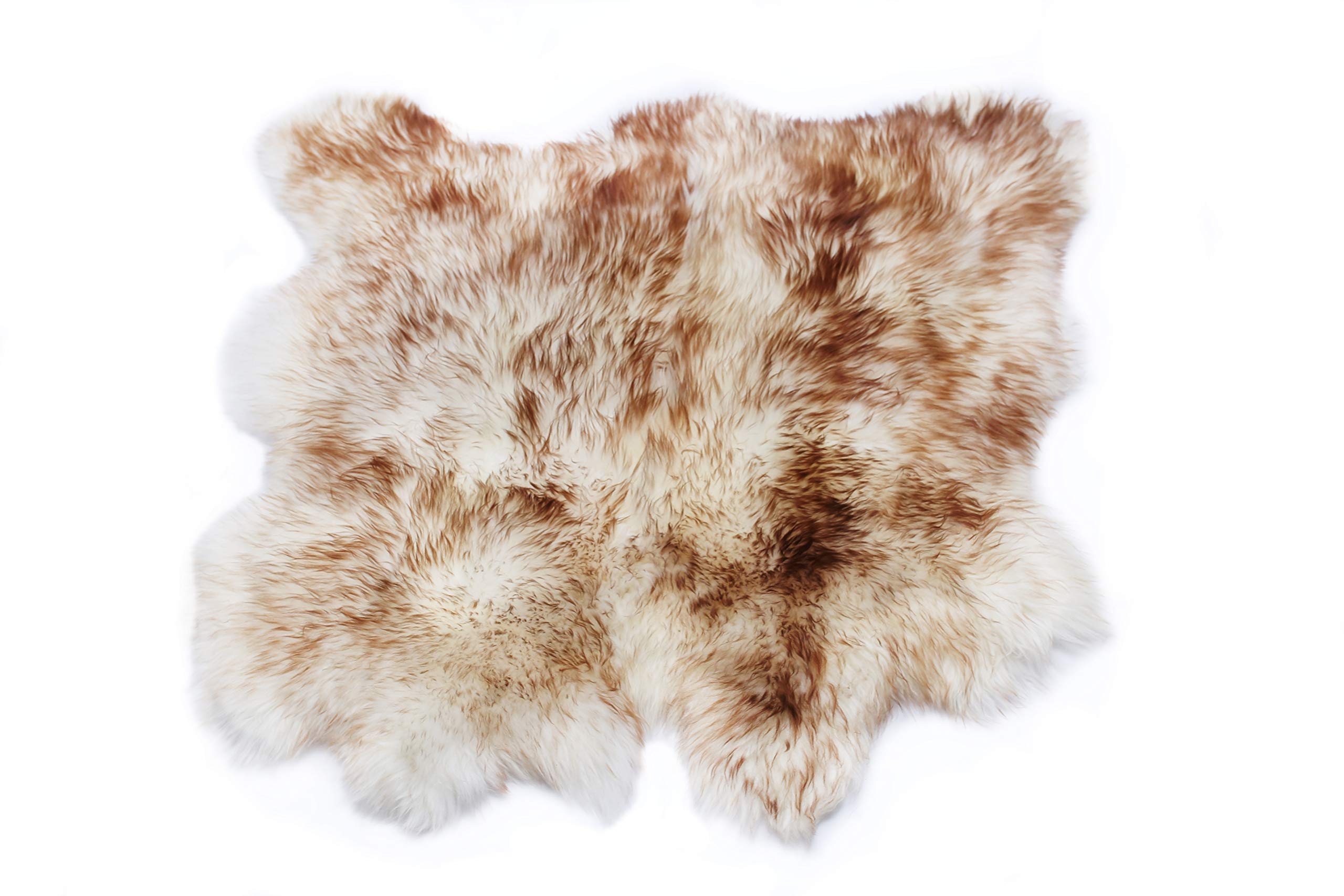 Cakla Schafshaut Store Alfombra de Piel de Oveja 100 % Natural orgánica, con Dos ovejas de Piel de Oveja Suave y esponjosa, una adición Original a Cualquier habitación.