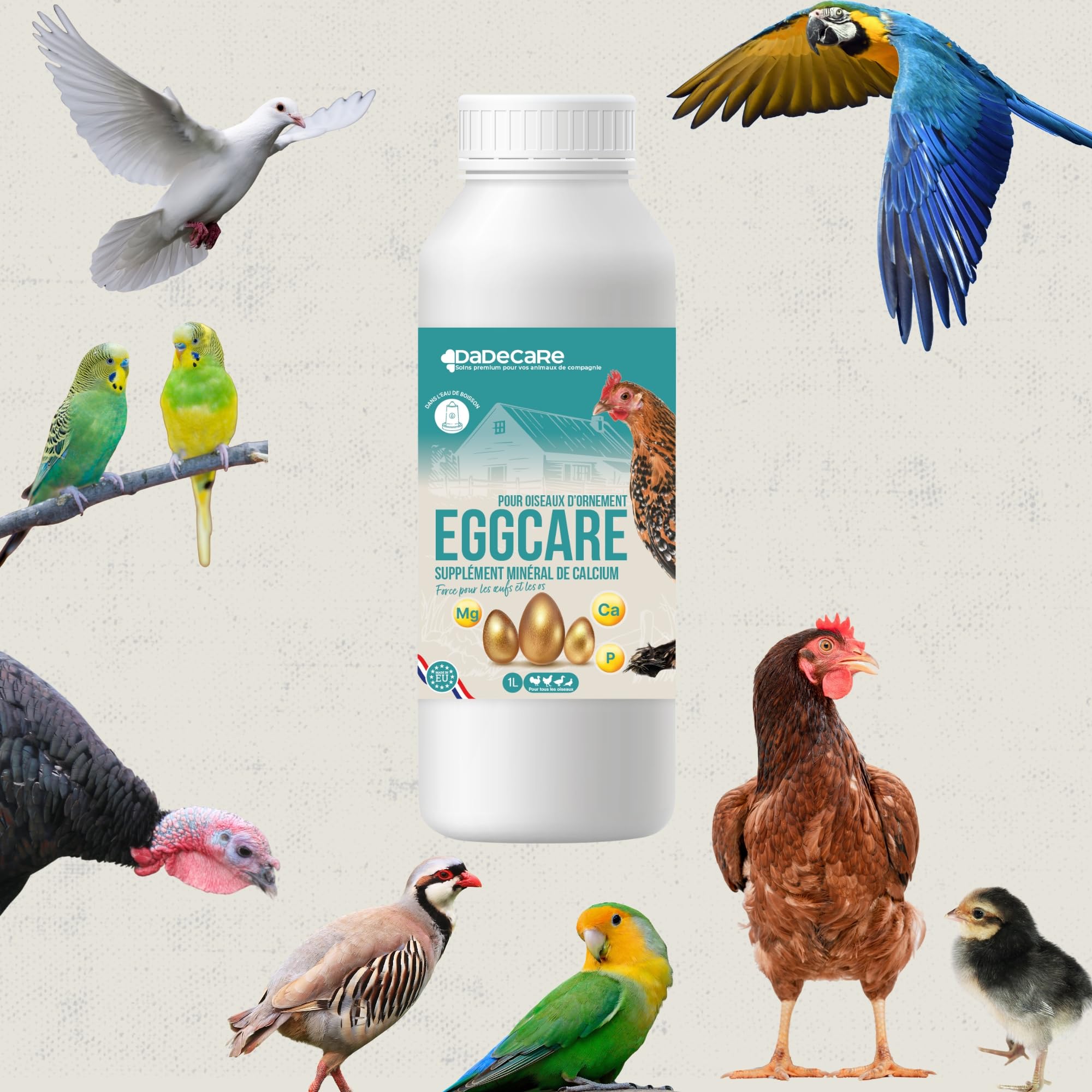 Eggcare Calcium pour Oiseaux 1 l avec minéraux et vitamines – Œufs sains et coquilles résistantes – Fortifie Les os – Convient pour Tous Les stades de développement