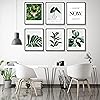 Product Photo 5