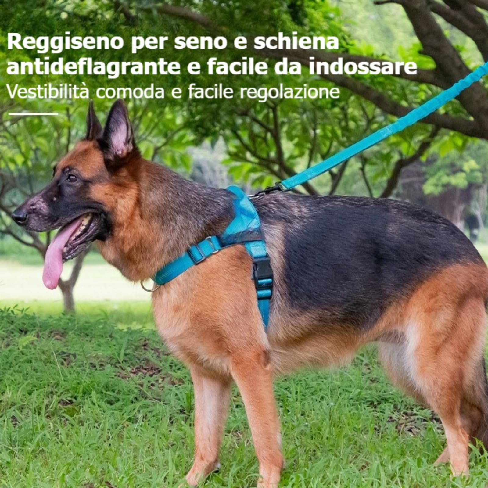 veltrioitalia - Pettorina Veltrio – Controllo Totale, Vestibilità Regolabile, Riflettente per Cani Piccoli e Med (Arancia,S)