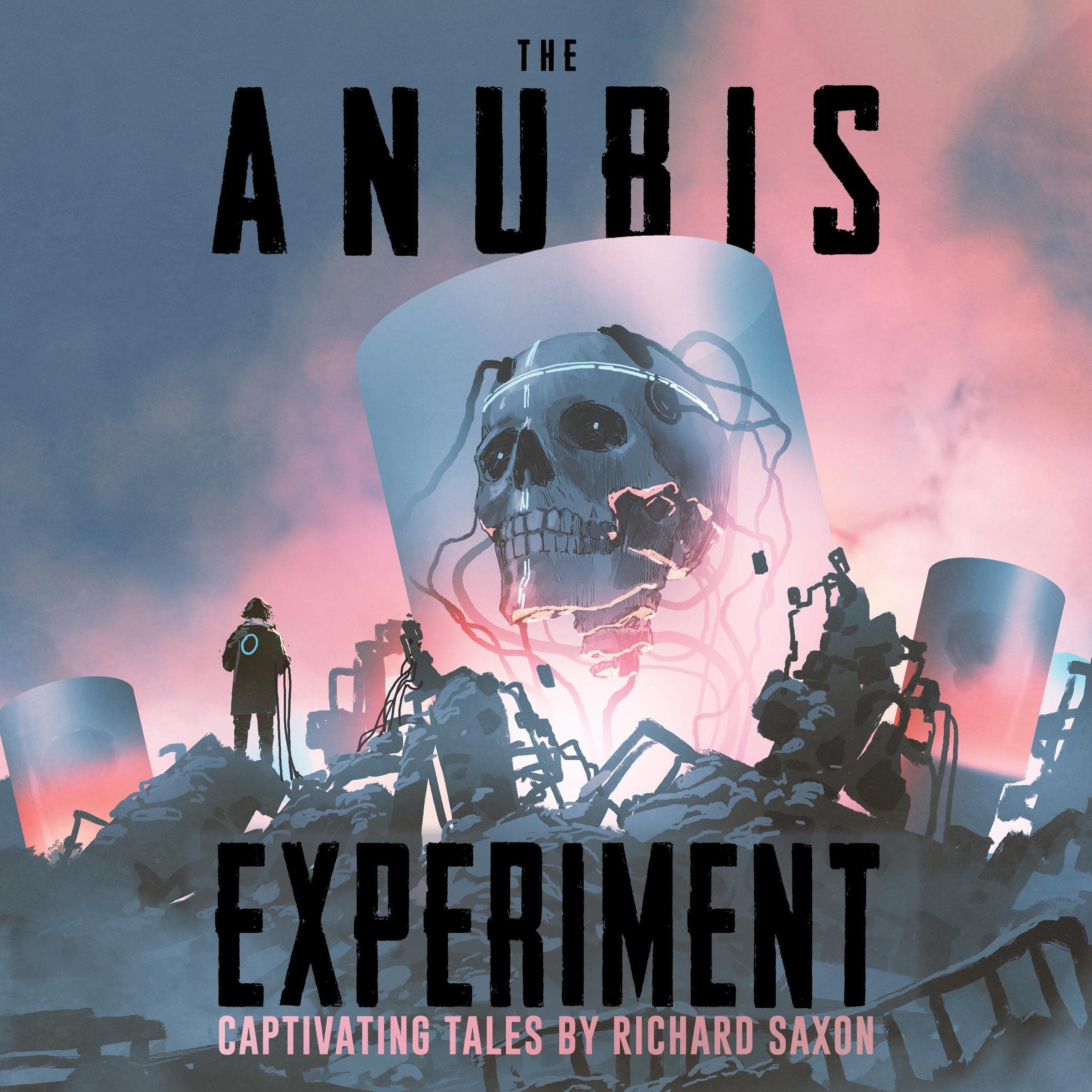 Cover art for The Anubis Experiment