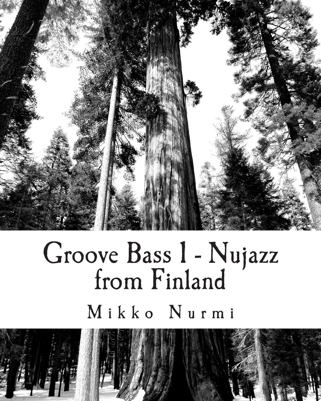 Groove Bass 1 - Nujazz from Finland