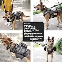 Vista 9 de Forestpaw Arnés táctico para perros grandes, collar táctico para perro con correa elástica, arnés militar para perro sin tirones para entrenamiento
