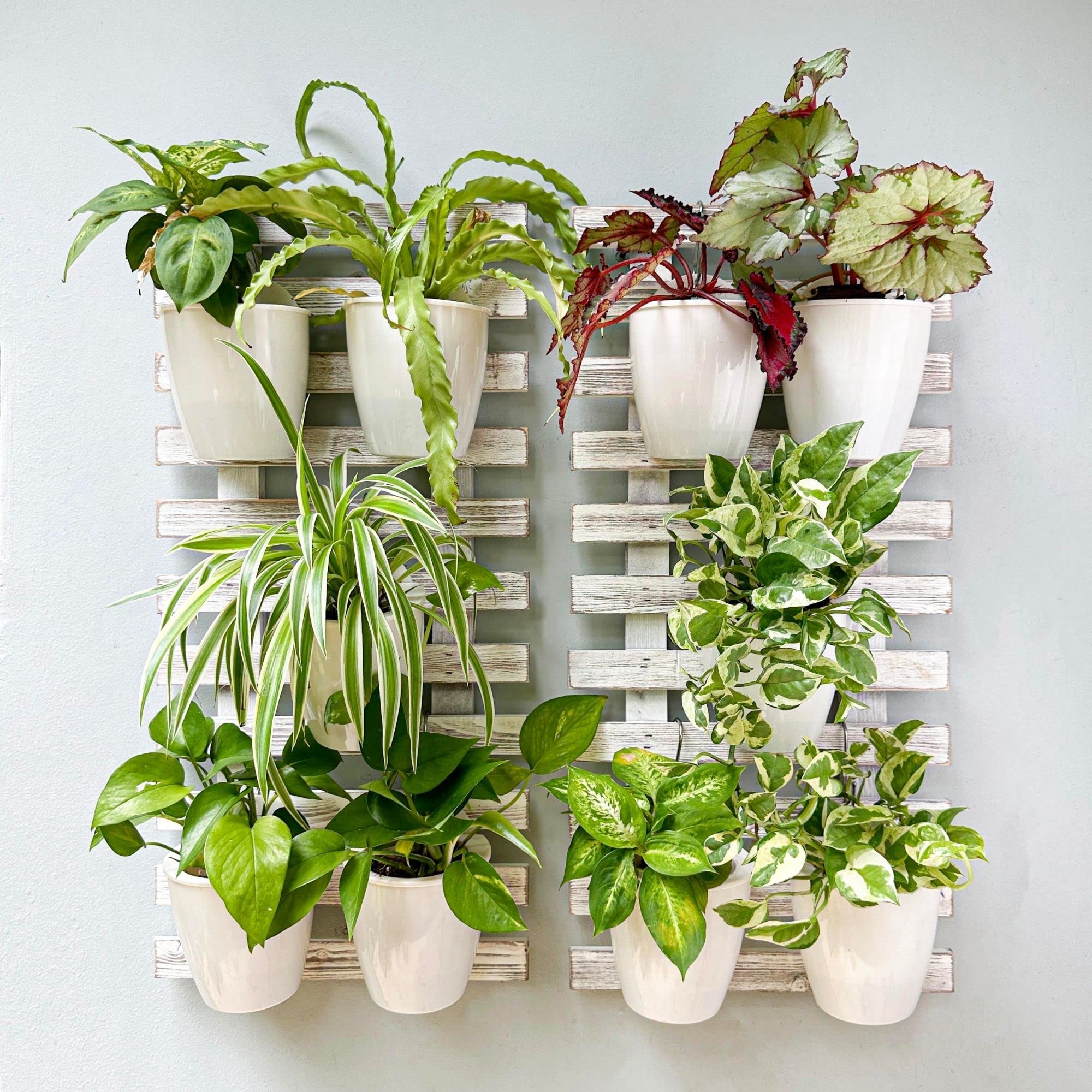 ShopLaLa Wooden Wall Planter - 2 Pack Wall Hanging Planters for Outdoor ...