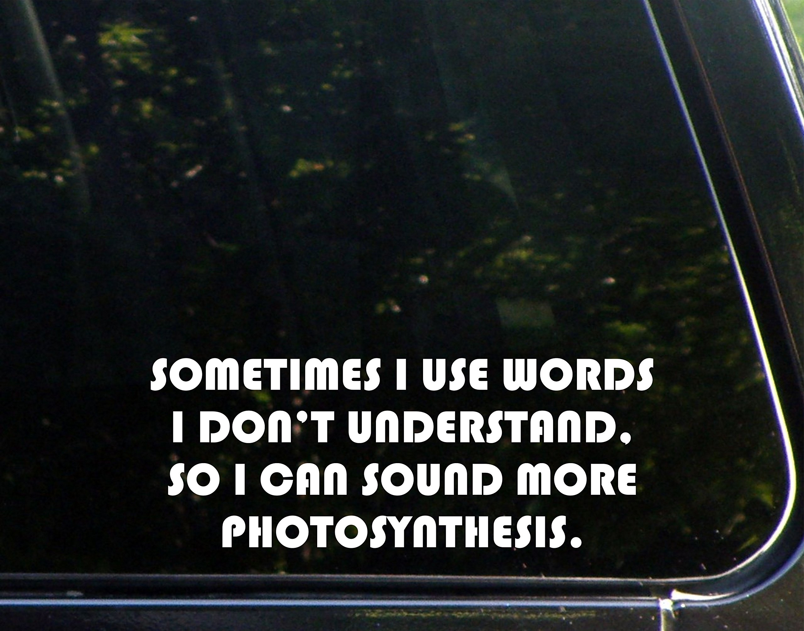I Use Big Words To Sound More Photosynthesis