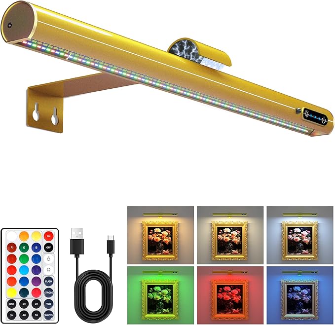 Flupuro Wireless LED Picture Light with Remote, Rechargeable Battery