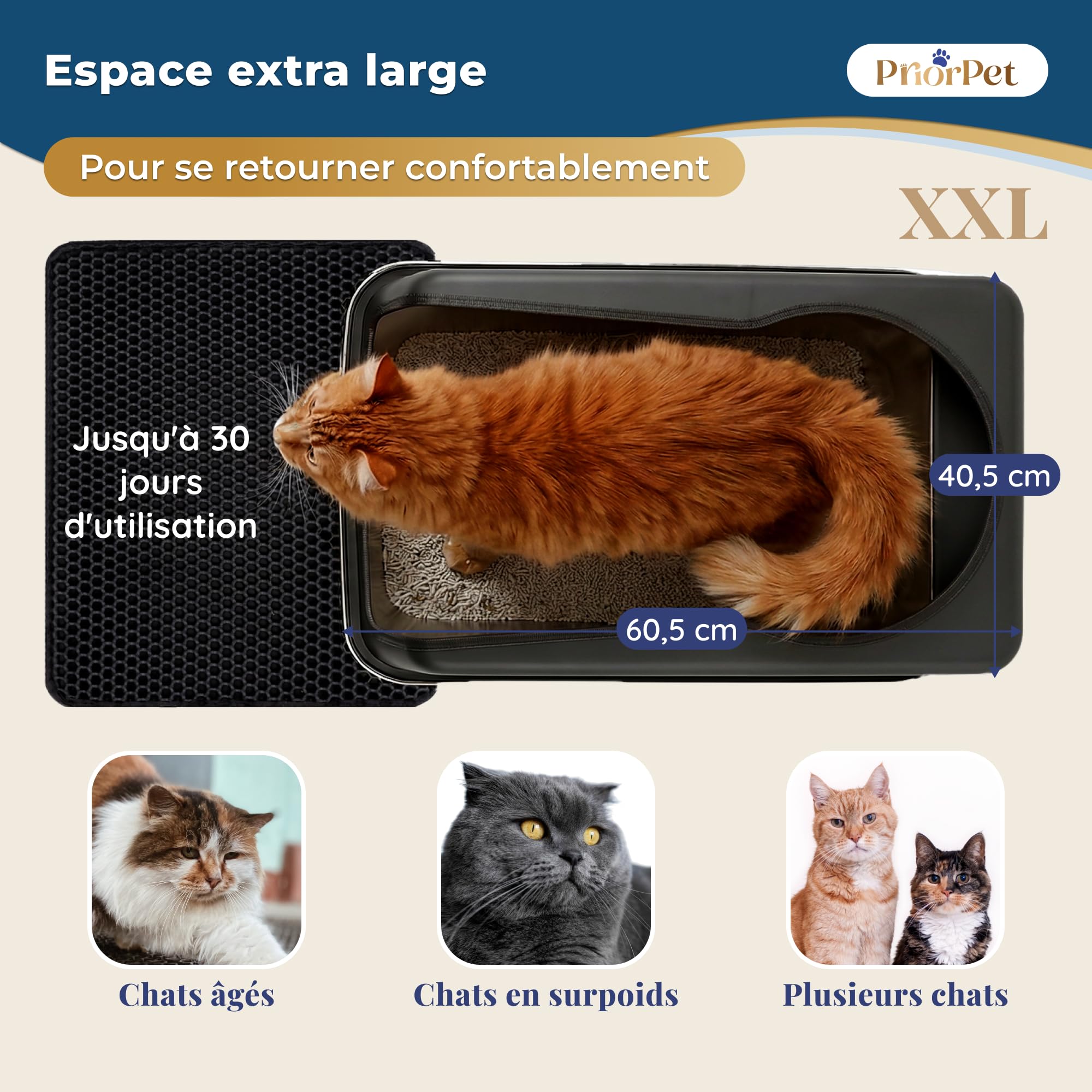 Bac à litière Chat INOX XXL Noir Mat – Facile à Nettoyer, Anti-odeurs – Litière avec Bords Hauts, 38L – Anti-Fuite, antiadhésif – avec Pelle et Tapis