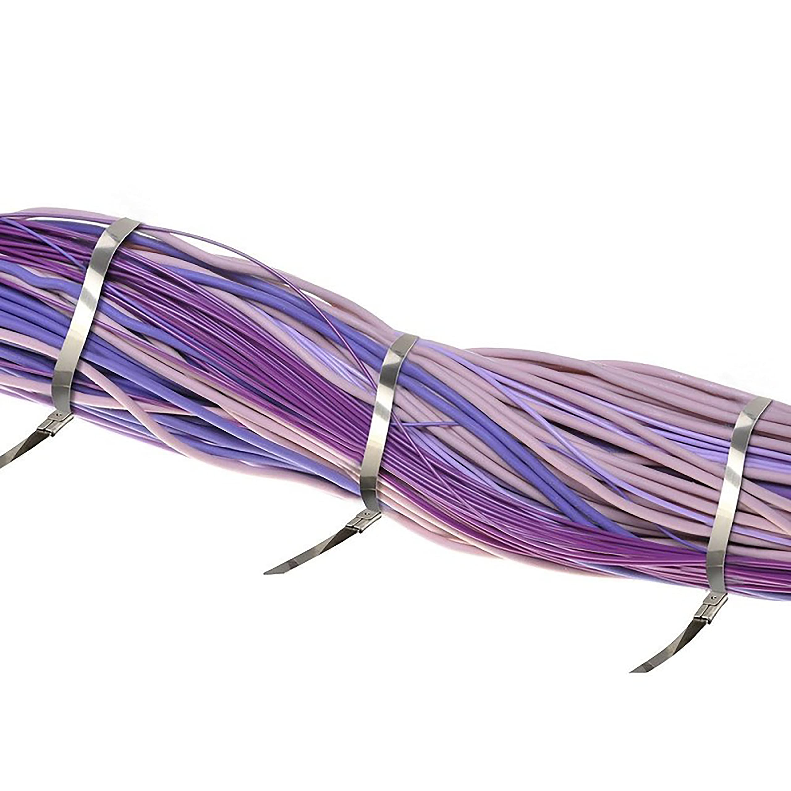 V-TAC Fascette in Acciao Inox per Cavi misura 4.6 mm x 350 mm - Confezione 100 Pezzi - Fascette per Cablaggio Multiuso - Stringicavo Portacavi Fermacavi per Elettricista, Meccanico, Tubi in Ferro