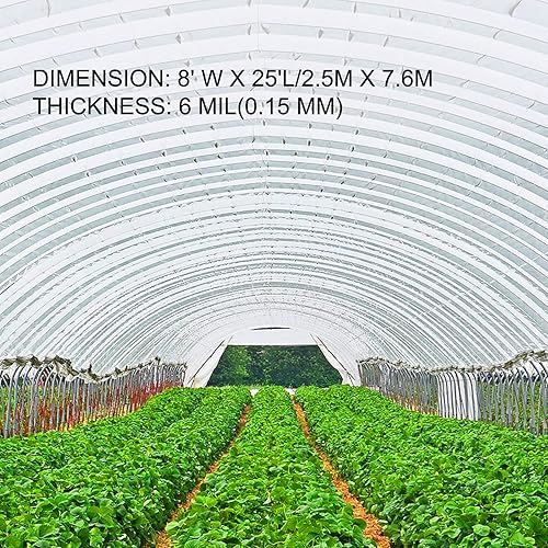 Miniatura 3 de VEVOR Lámina de plástico para invernaderos de 8 x 25 pies, película de polietileno transparente resistente a los rayos UV de 6 mil de grosor,