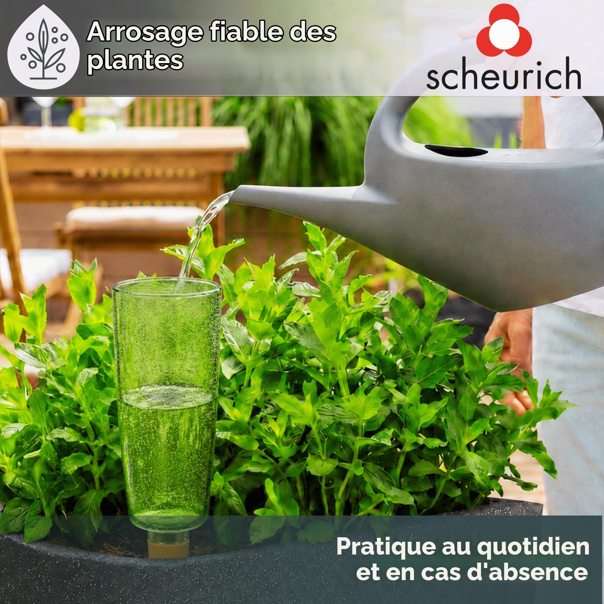 Scheurich Copa XL Distributeur d'eau arrosage Boule Vert transparent XL vert