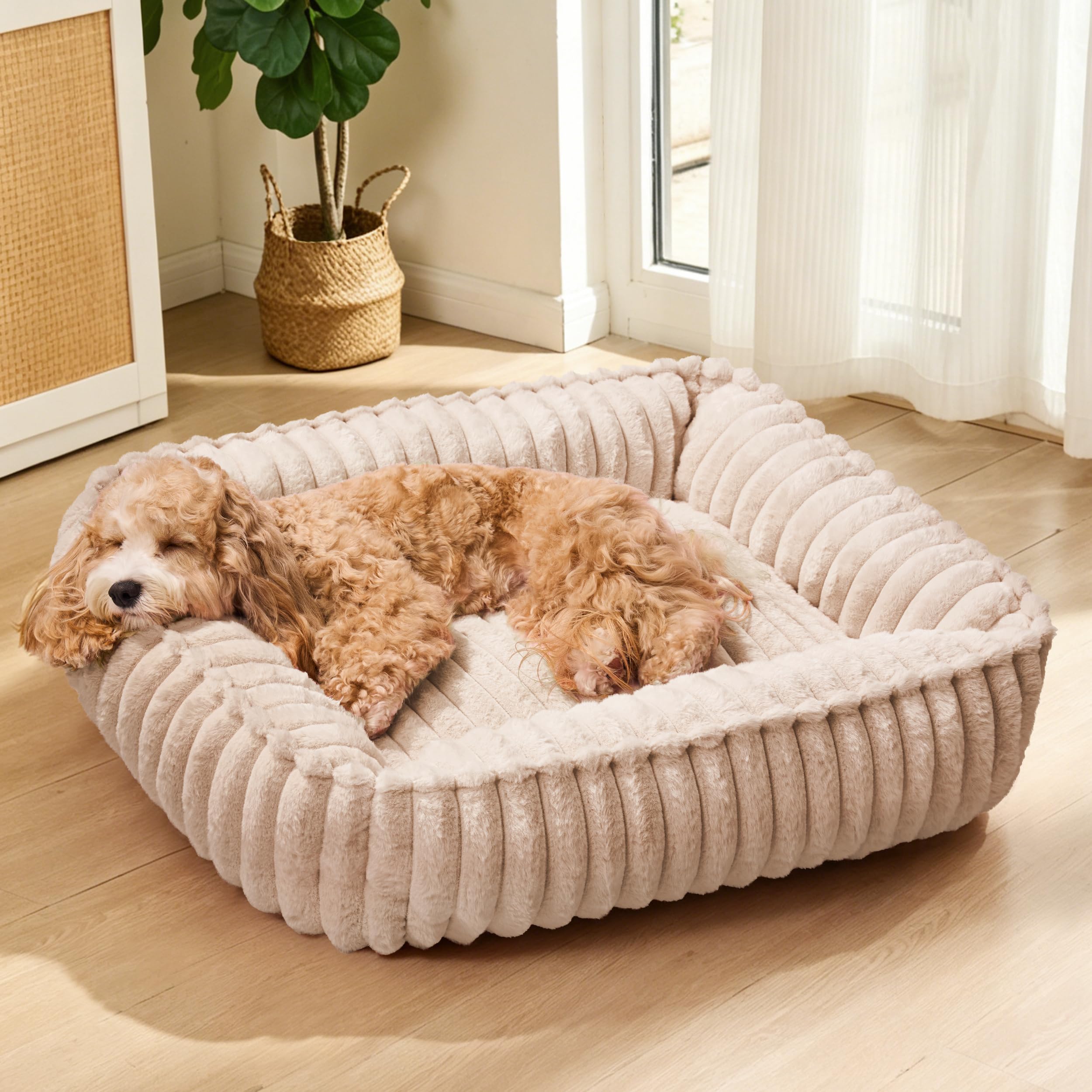 Jolibean Calming Dog Bed for Small Dogs 50x40cm, Rectangle Orthopedic Soft Cat Bed for Indoor Cats, Washable Anti-Anxiety Cozy Pet Sofa Beds with Anti-Slip Bottom, Khaki