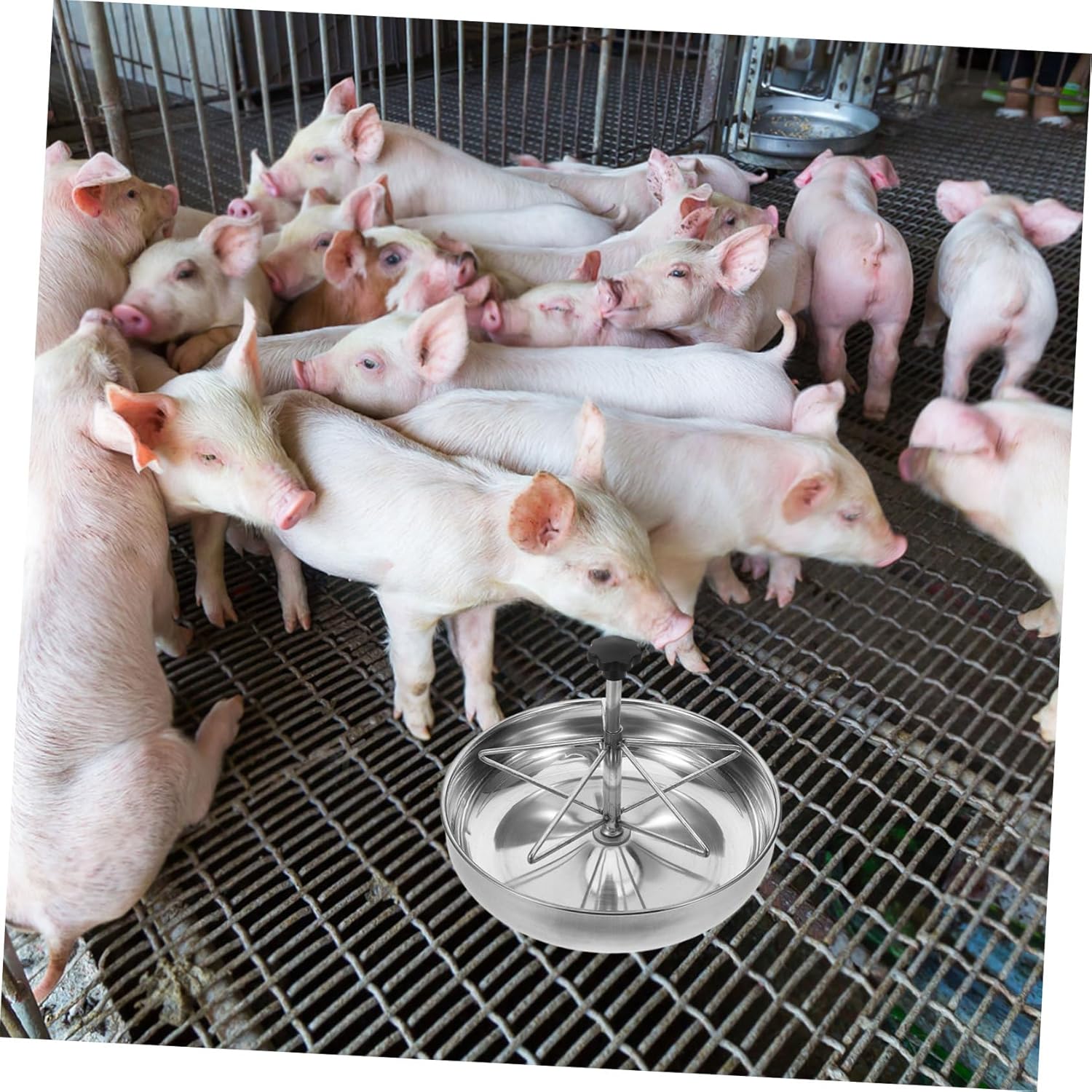 Farmhouse Pig Feeder Livestock Feeding Trough Stainless Steel Large Capacity Easy to Clean