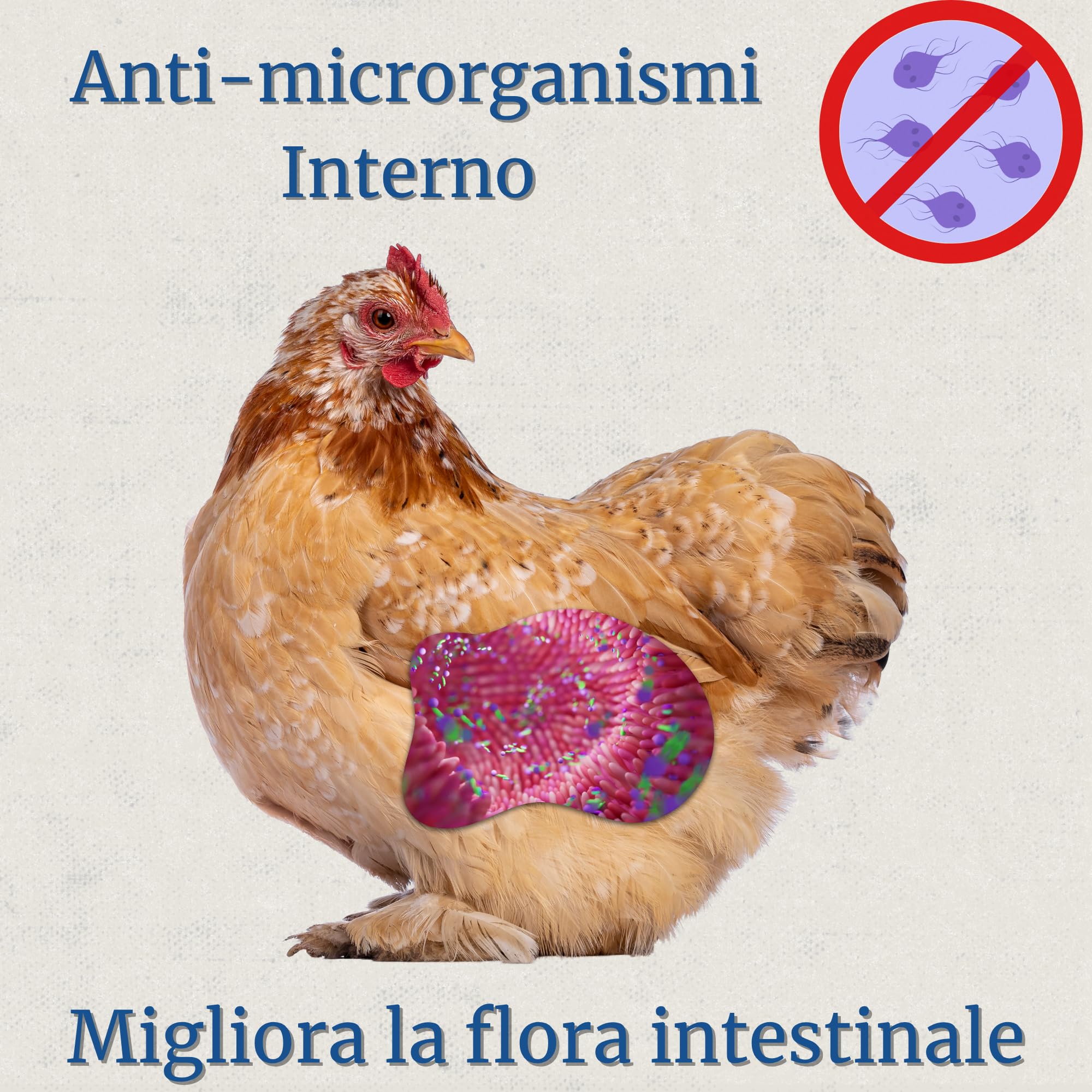 Preventivo Parassiti Interni Naturale 250 ml - Polli, Pollame ed Esotici - Previene e Tratta Problemi digestivi - Formula Naturale - Estratto di Aglio e Oregano - Inncare