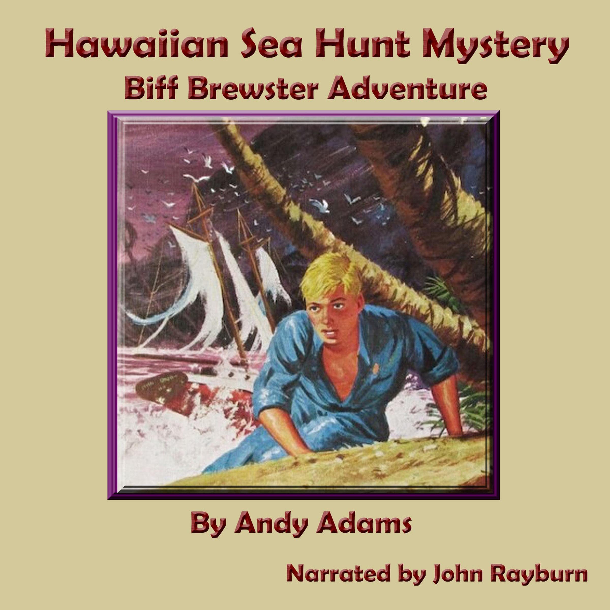 Cover art for Hawaiian Sea Hunt Mystery