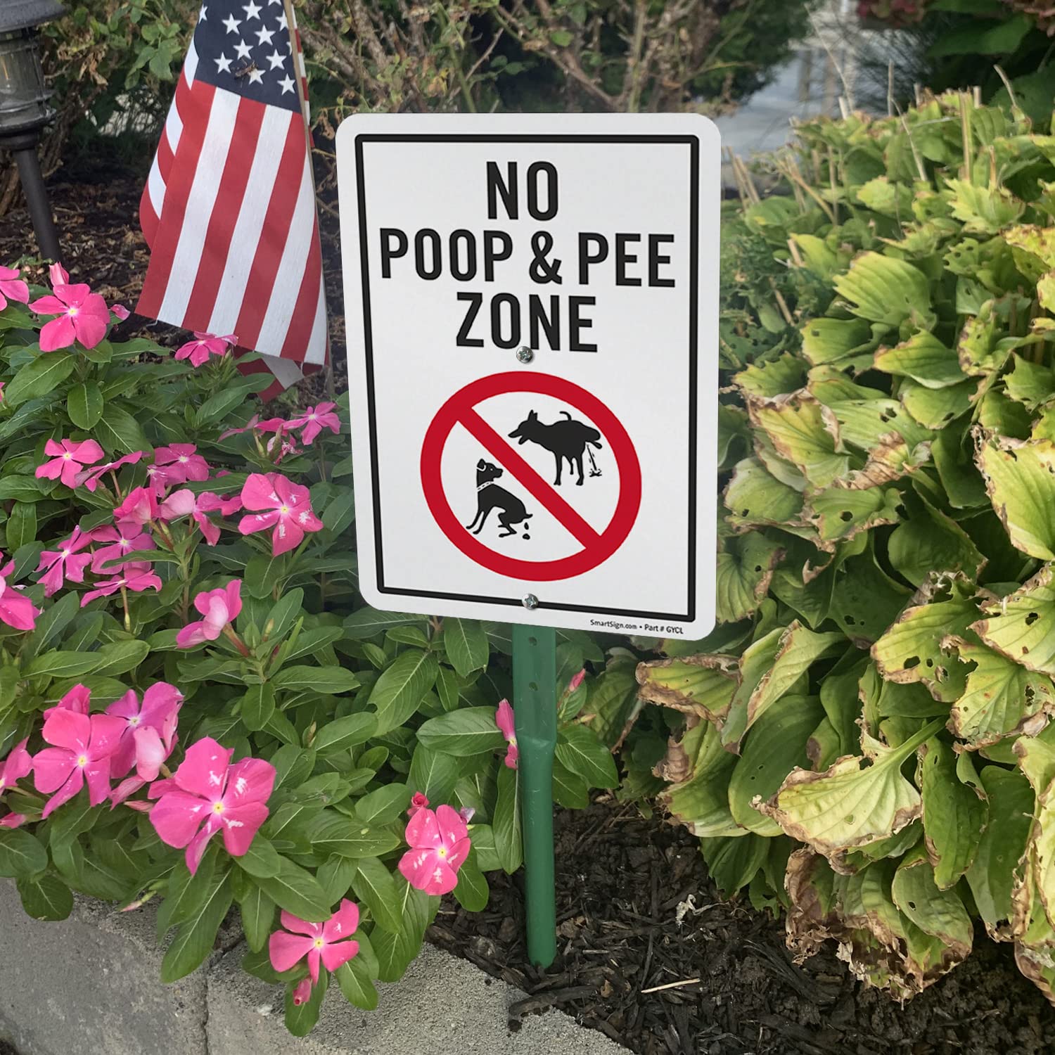 Are You Pooping Sign SmartSign Video Surveillance Yard Sign With Dog ...
