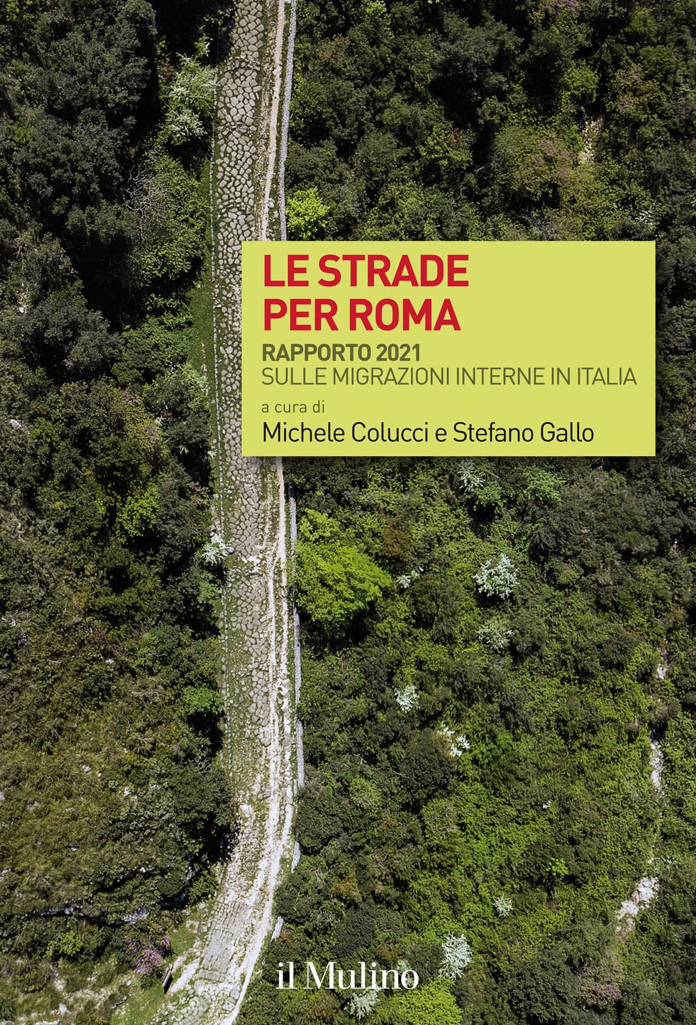 Le Strade Per Roma. Rapporto 2021 Sulle Migrazioni Interne In Italia - 4