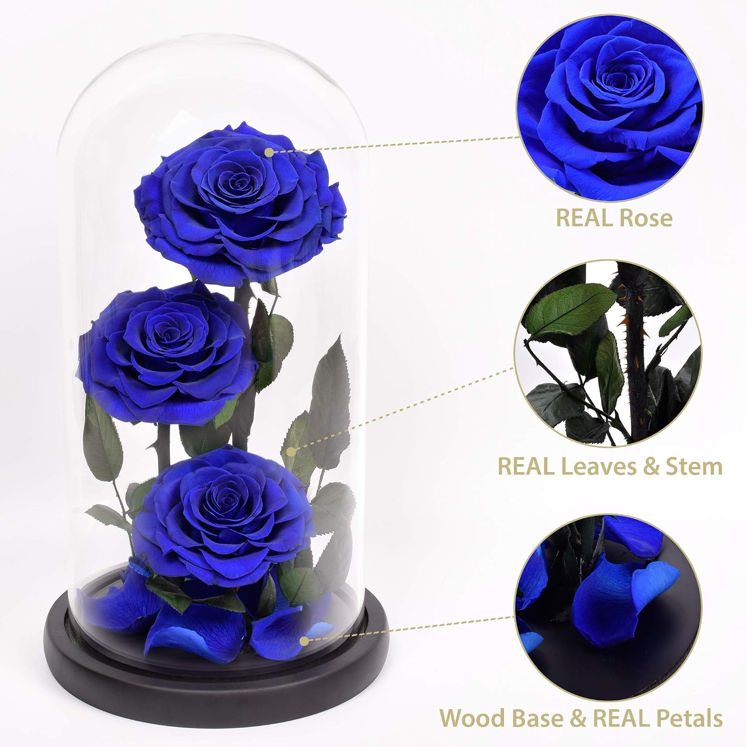 RUSTIC STEMS Luxury Real Preserved Rose Glass Dome Eternal Flower Forever Beauty and The Beast Infinite Love Handmade Gift Mom Women Wife Girlfriend Valentine’s Day Thanksgiving Birthday Anniversary