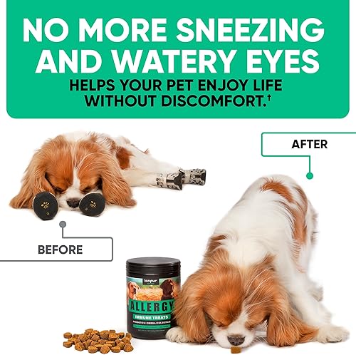 Miniatura 2 de Masticables naturales para la alergia de los perros para la picazón del perro, sabroso alivio de alergias, suplemento para mascotas para piel seca