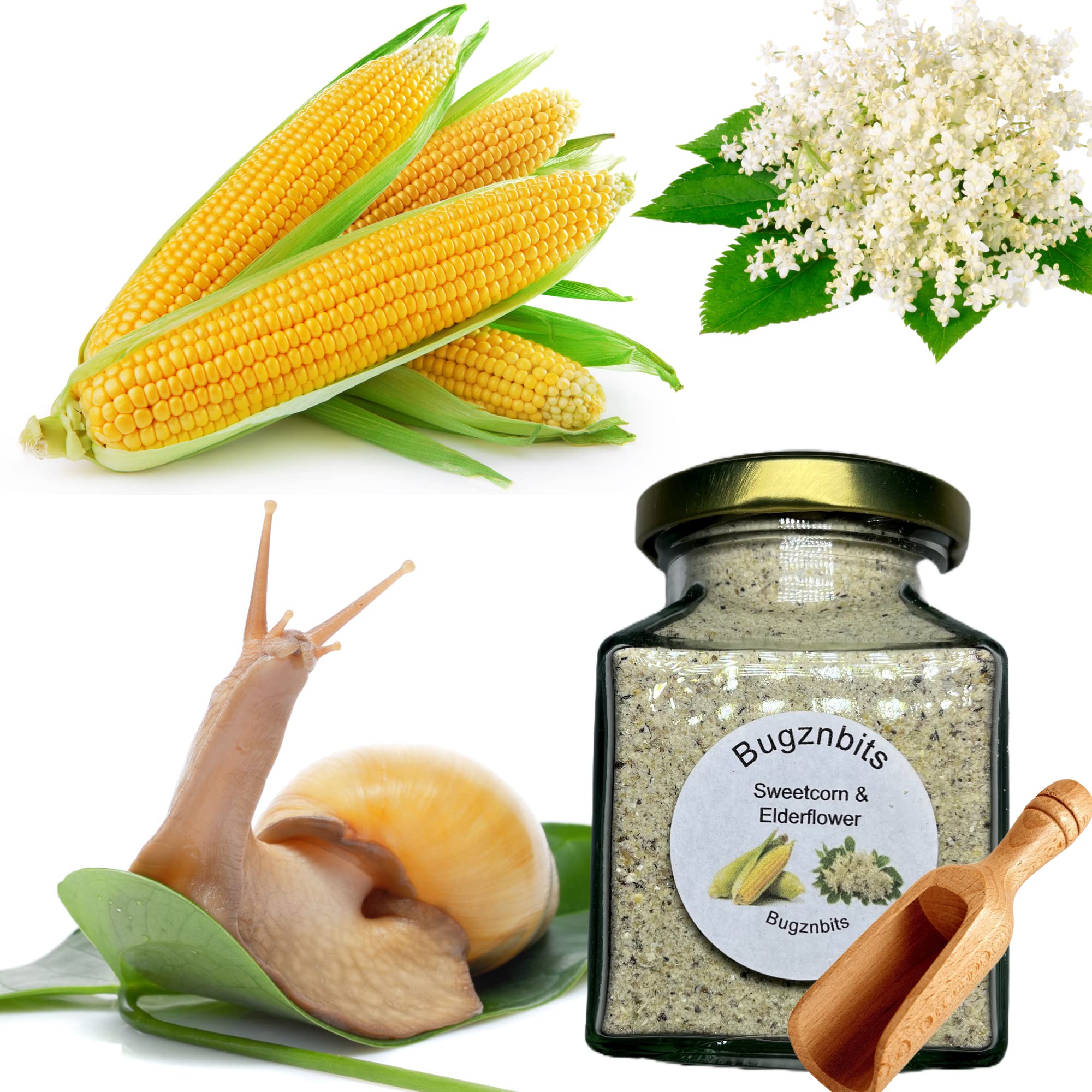 Bugznbits Giant African Land Snail Food, 100% Natural Blend with Sweetcorn & Elderflower, Also Great for Millipedes & Hermit Crabs (210ml Refillable Jar)