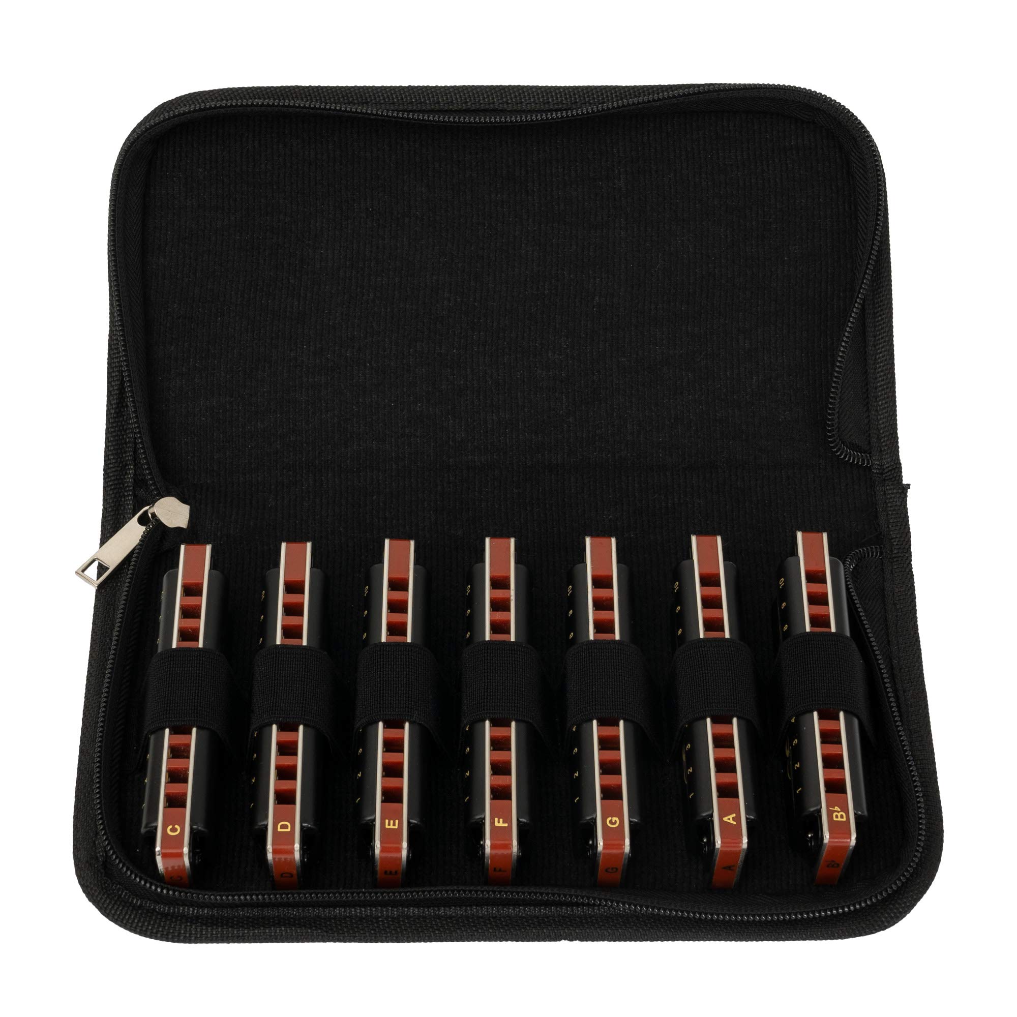 Harmonica professionnel 7 types de tonalités Set