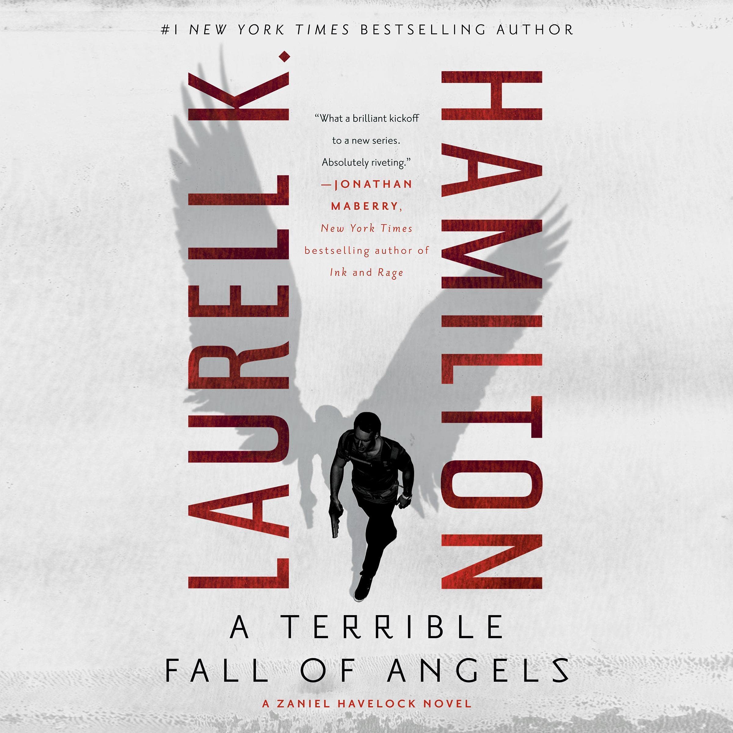 Cover art for A Terrible Fall of Angels