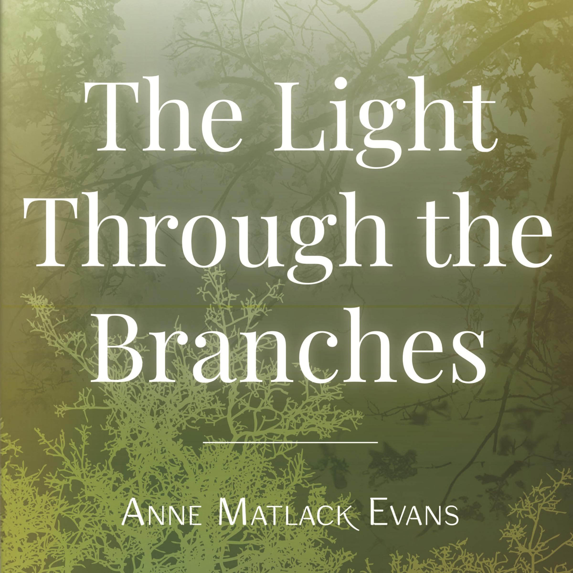 The Light Through the Branches