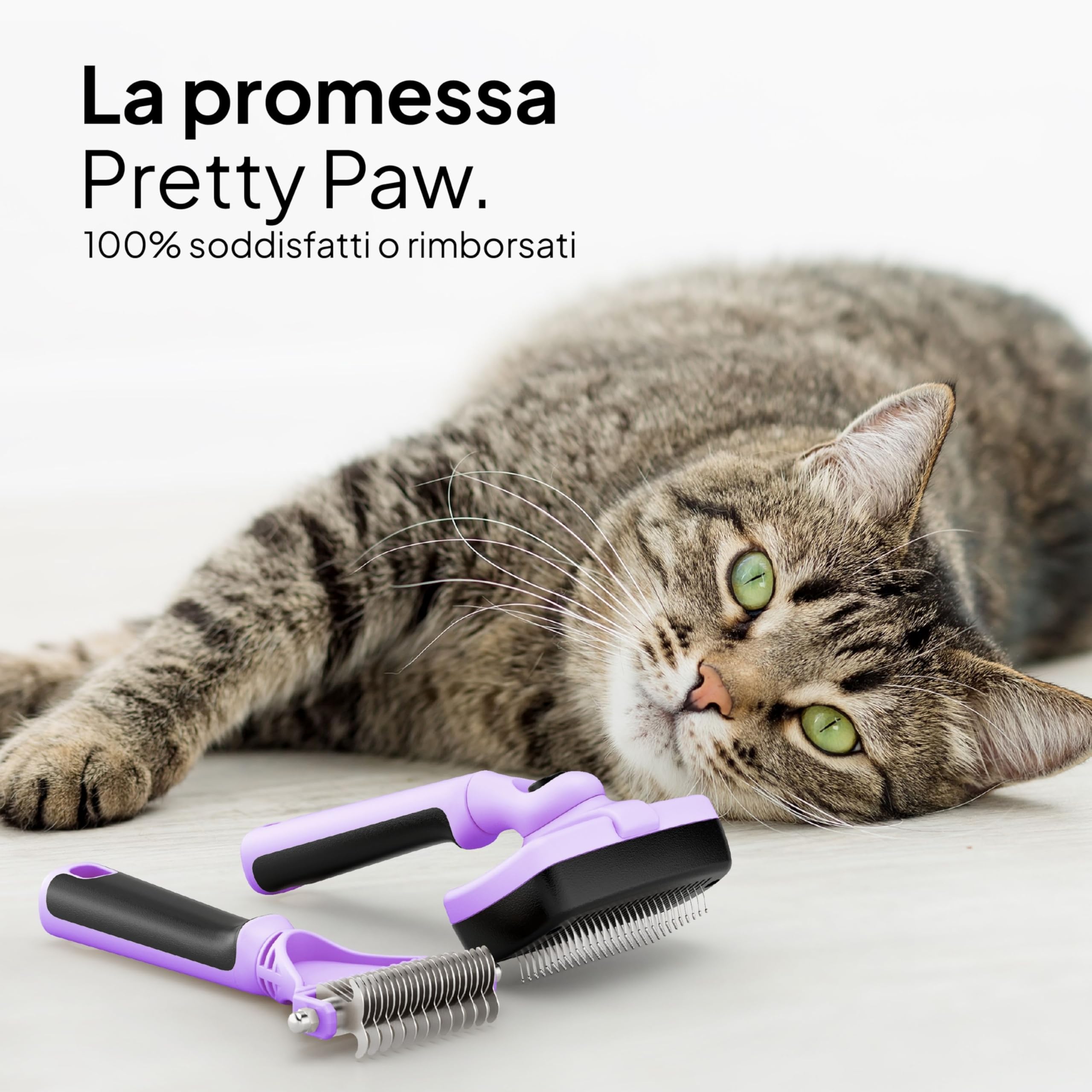Pretty Paw Spazzola per Gatti Set 2 Pezzi con Cardatore Autopulente e Pettine Sottopelo - Rimozione Pelo Morto per Muta e Cura Quotidiana (Viola)