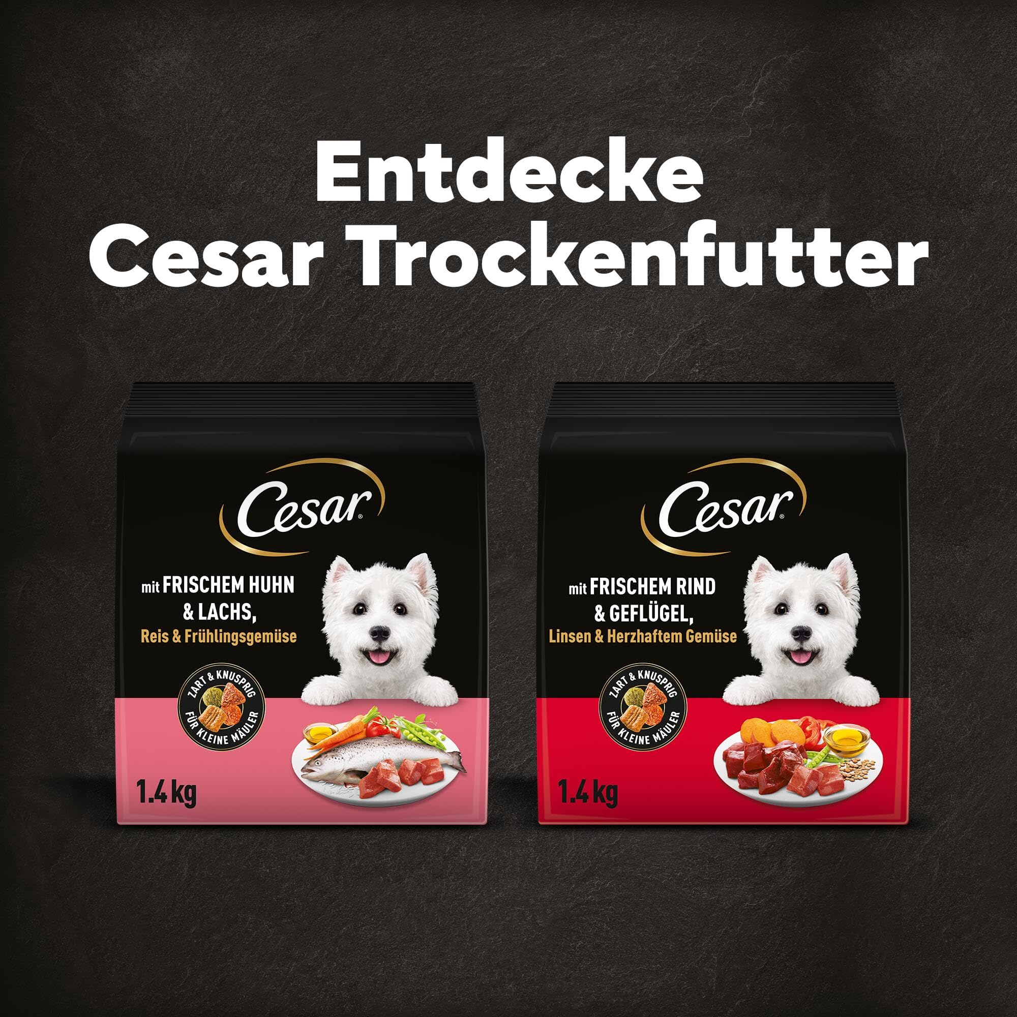 Cesar 5 x 1.4 kg Adult Hundetrockenfutter mit frischem Huhn, Lachs & Gemüse