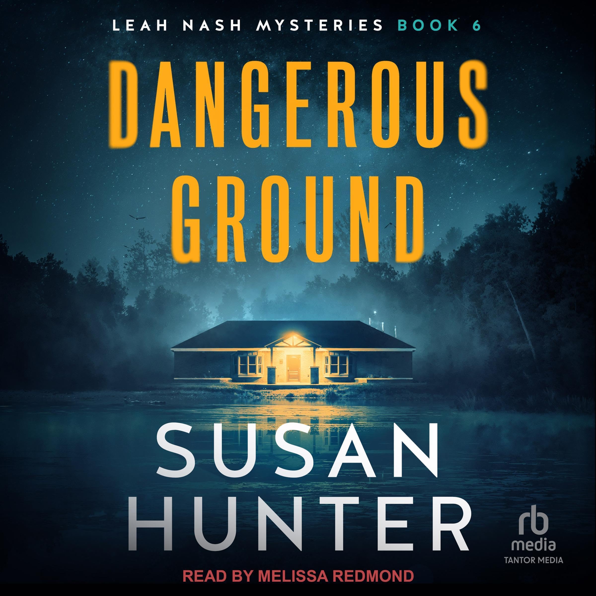 Cover art for Dangerous Ground