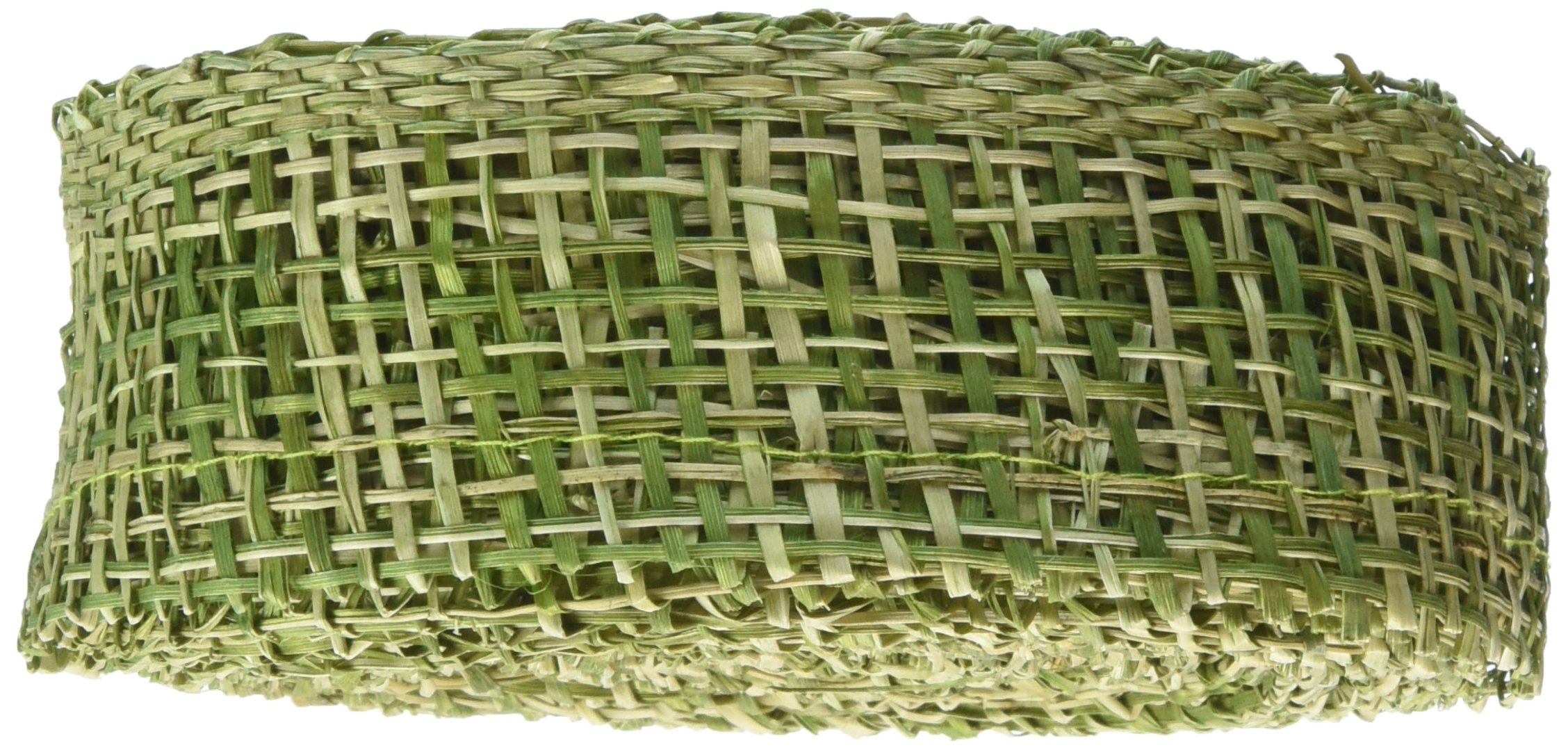 Kel-Toy Abaca Burlap 2" X 10 Yards-Green