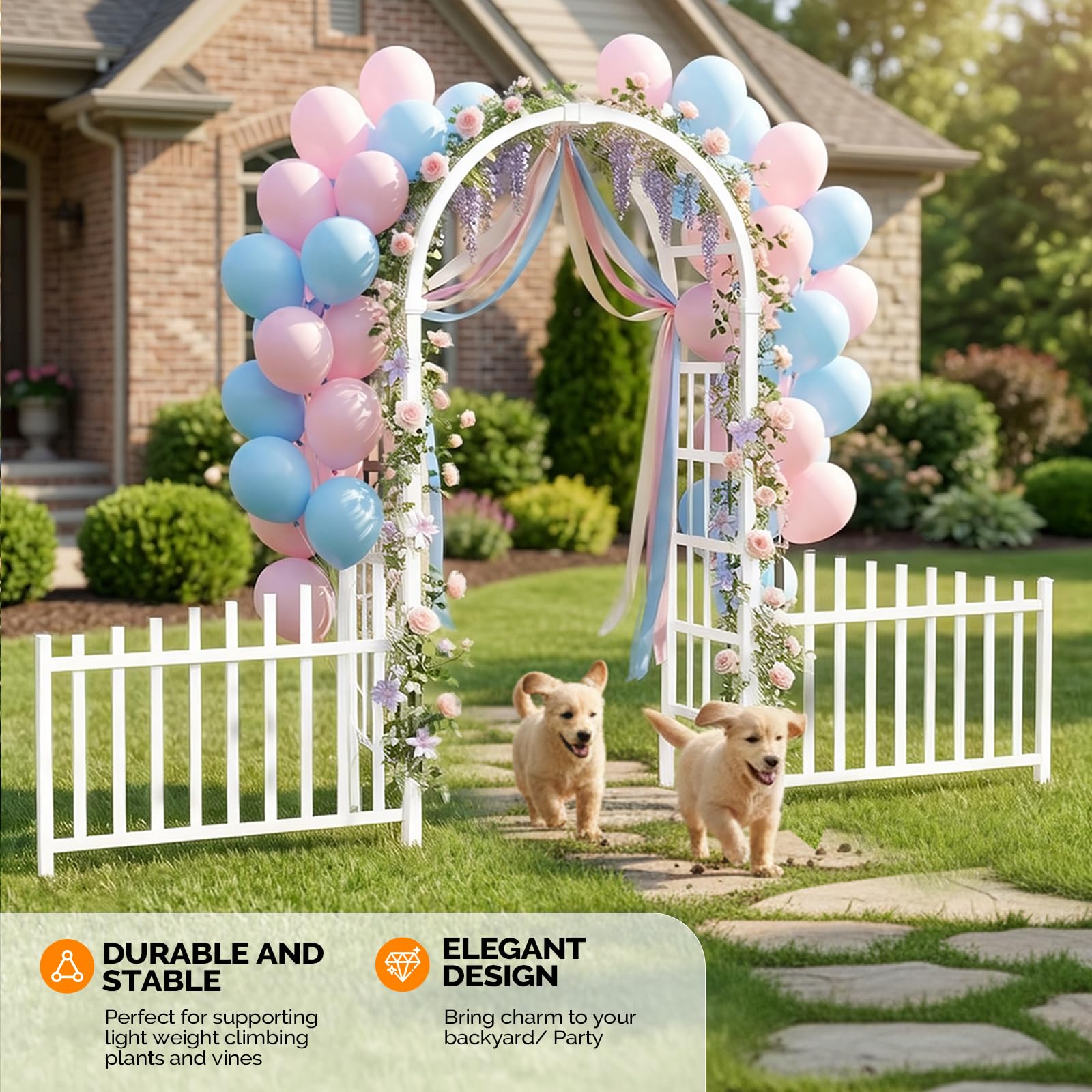 https://m.media-amazon.com/images/I/81X+wPzqzSL.jpg